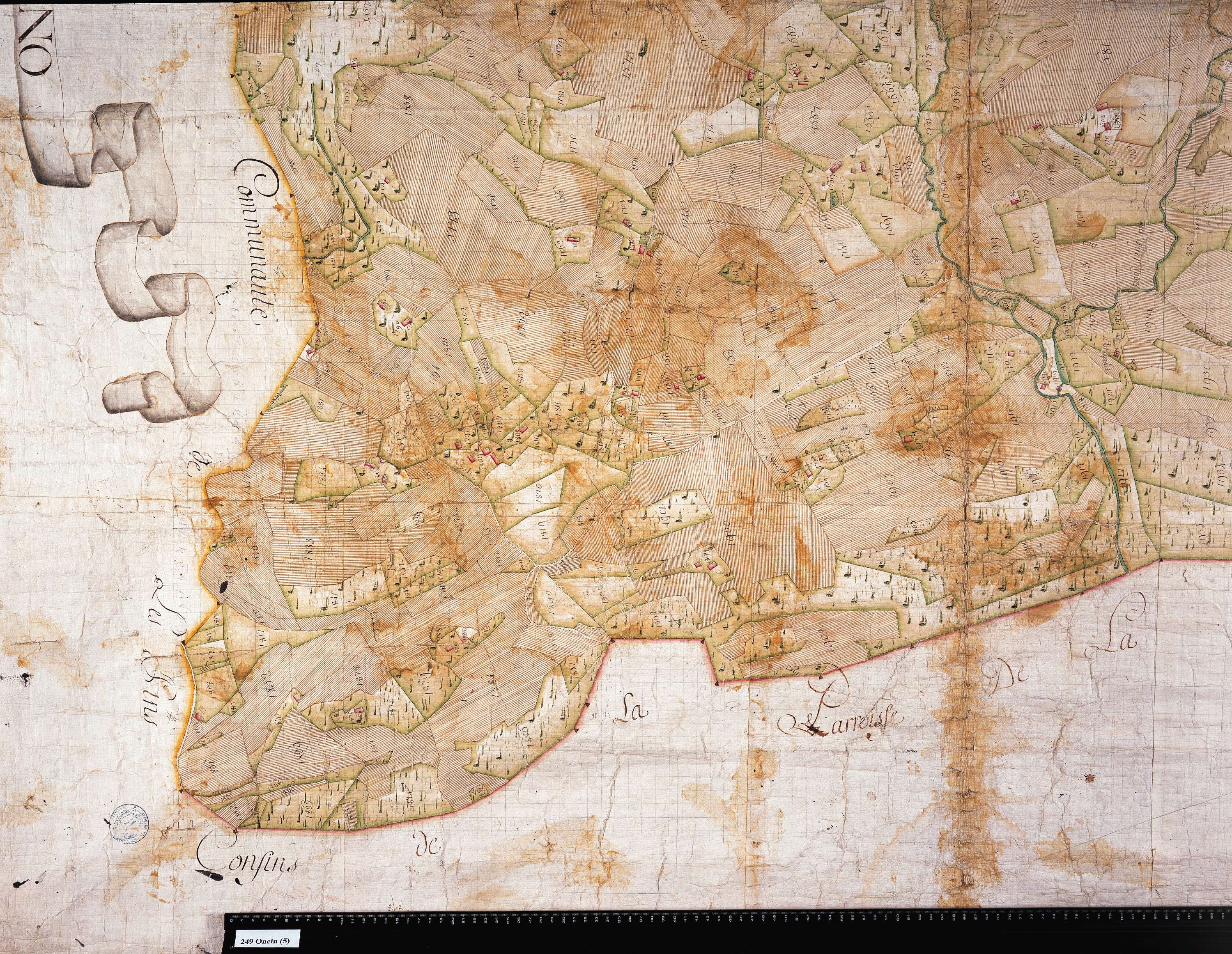Attignat-Oncin - Copie de la mappe originale (plan cadastral) de la commune d'Oncin. Signée Cocelli, directeur de la péréquation.