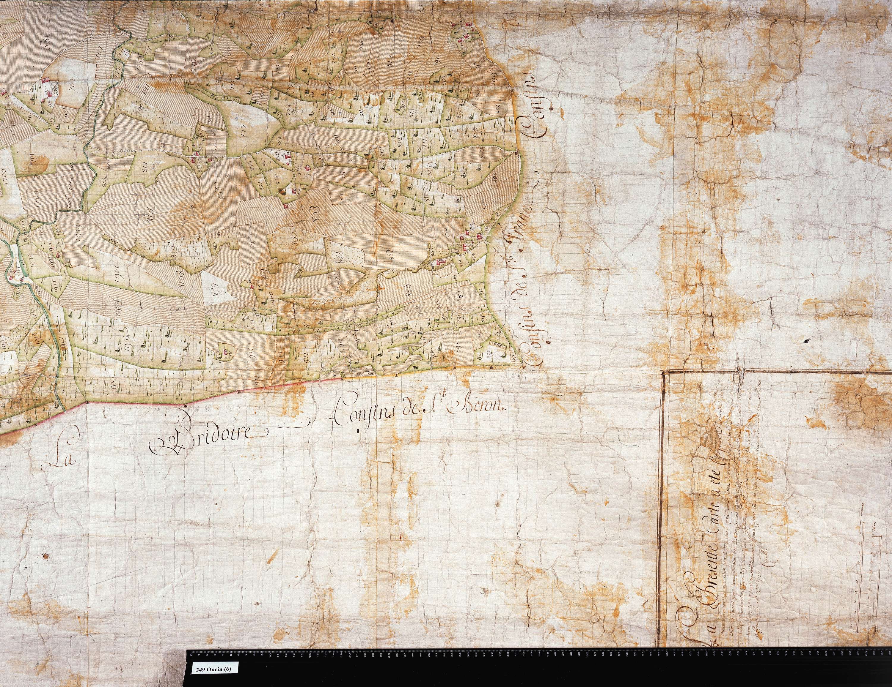 Attignat-Oncin - Copie de la mappe originale (plan cadastral) de la commune d'Oncin. Signée Cocelli, directeur de la péréquation.