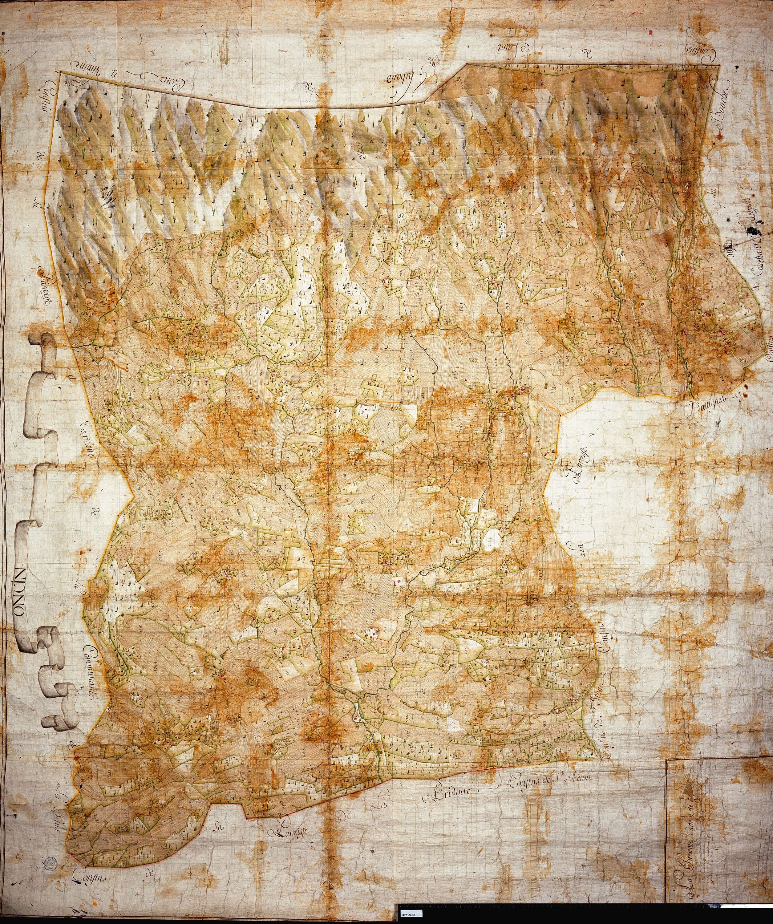 Attignat-Oncin - Copie de la mappe originale (plan cadastral) de la commune d'Oncin. Signée Cocelli, directeur de la péréquation.