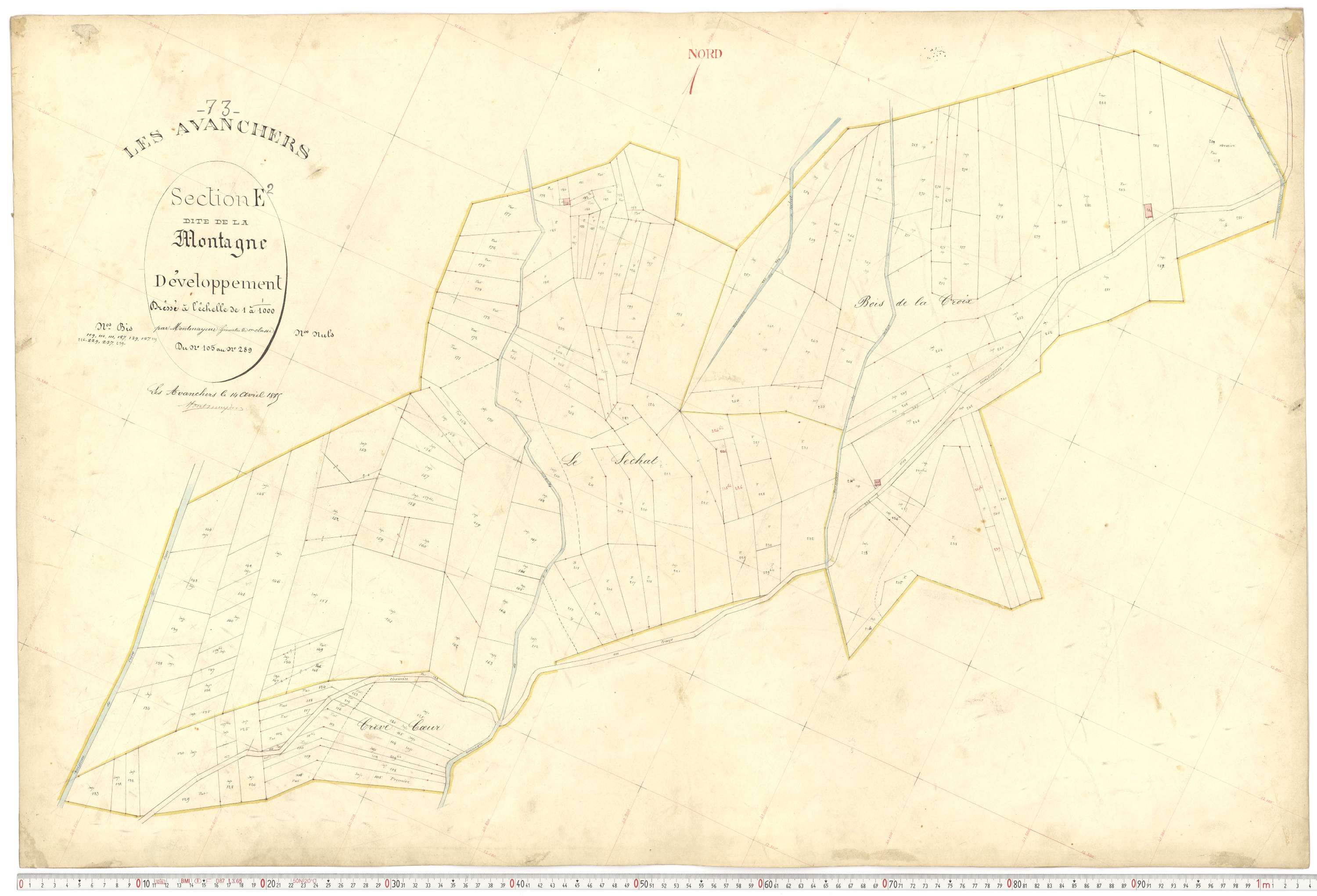 Avanchers-Valmorel - Plans cadastraux du premier cadastre français.