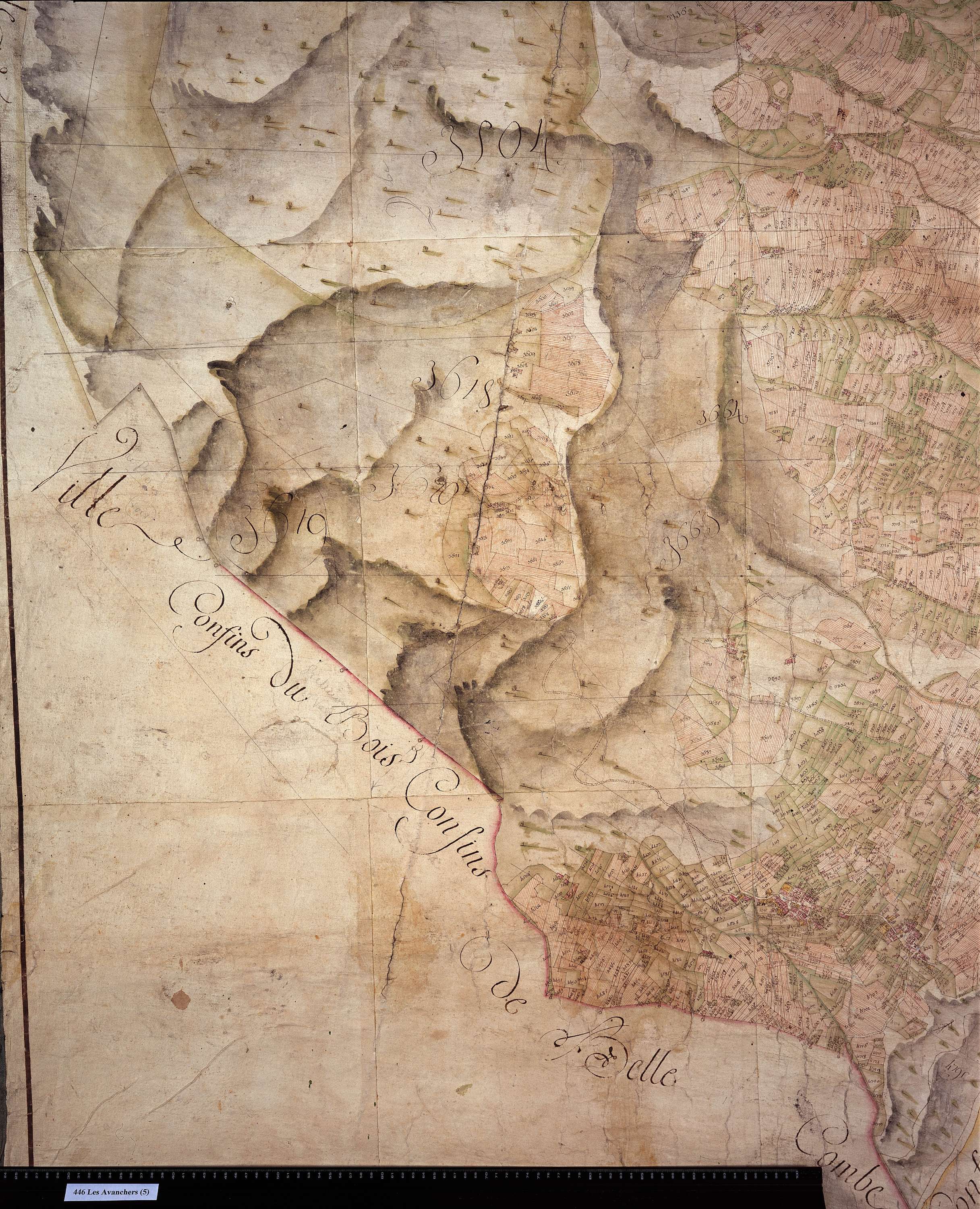 Avanchers-Valmorel - Copie de la mappe originale (plan cadastral) de la commune des Avanchers (mappe originale inexistante). Signée Cocelli, directeur du bureau de la péréquation.
