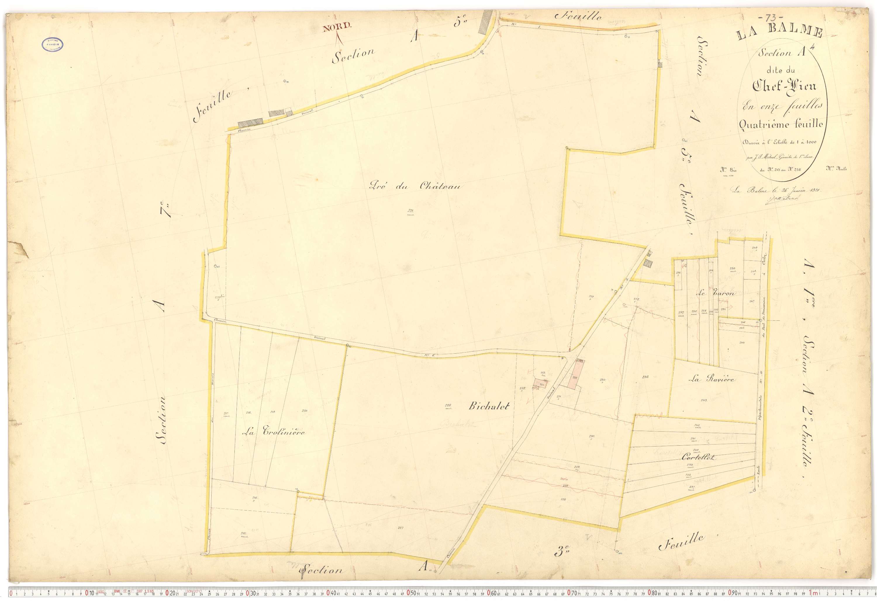 La Balme - Plans cadastraux du premier cadastre français.