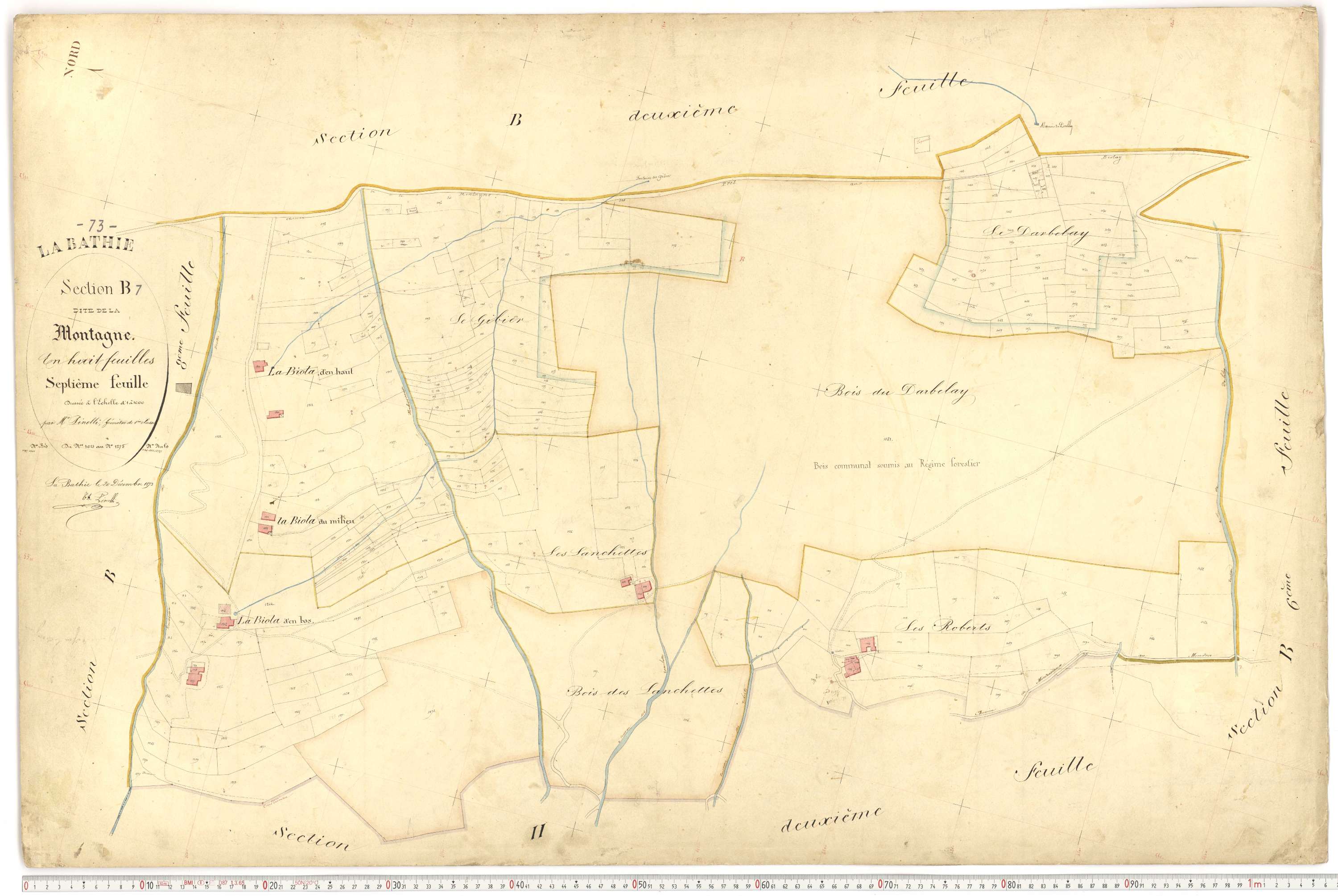 La Bâthie - Plans cadastraux du premier cadastre français.