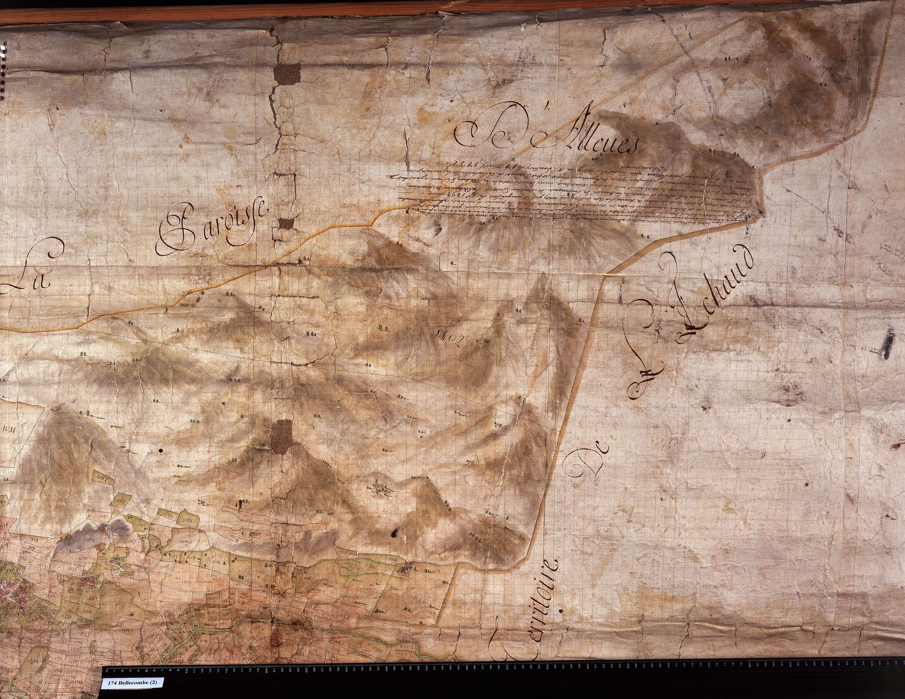 Bellecombe-en-Bauges - Copie de la mappe originale (plan cadastral) de la commune de Bellecombe en Beauges. Signée Cocelli, directeur du bureau de la péréquation.