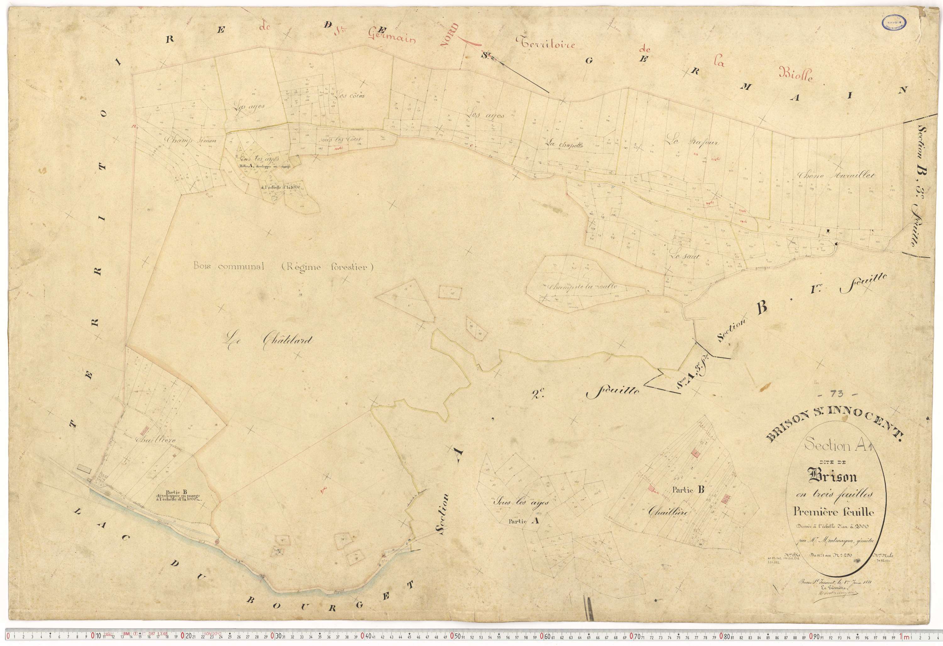 Brison-Saint-Innocent - Plans cadastraux du premier cadastre français.