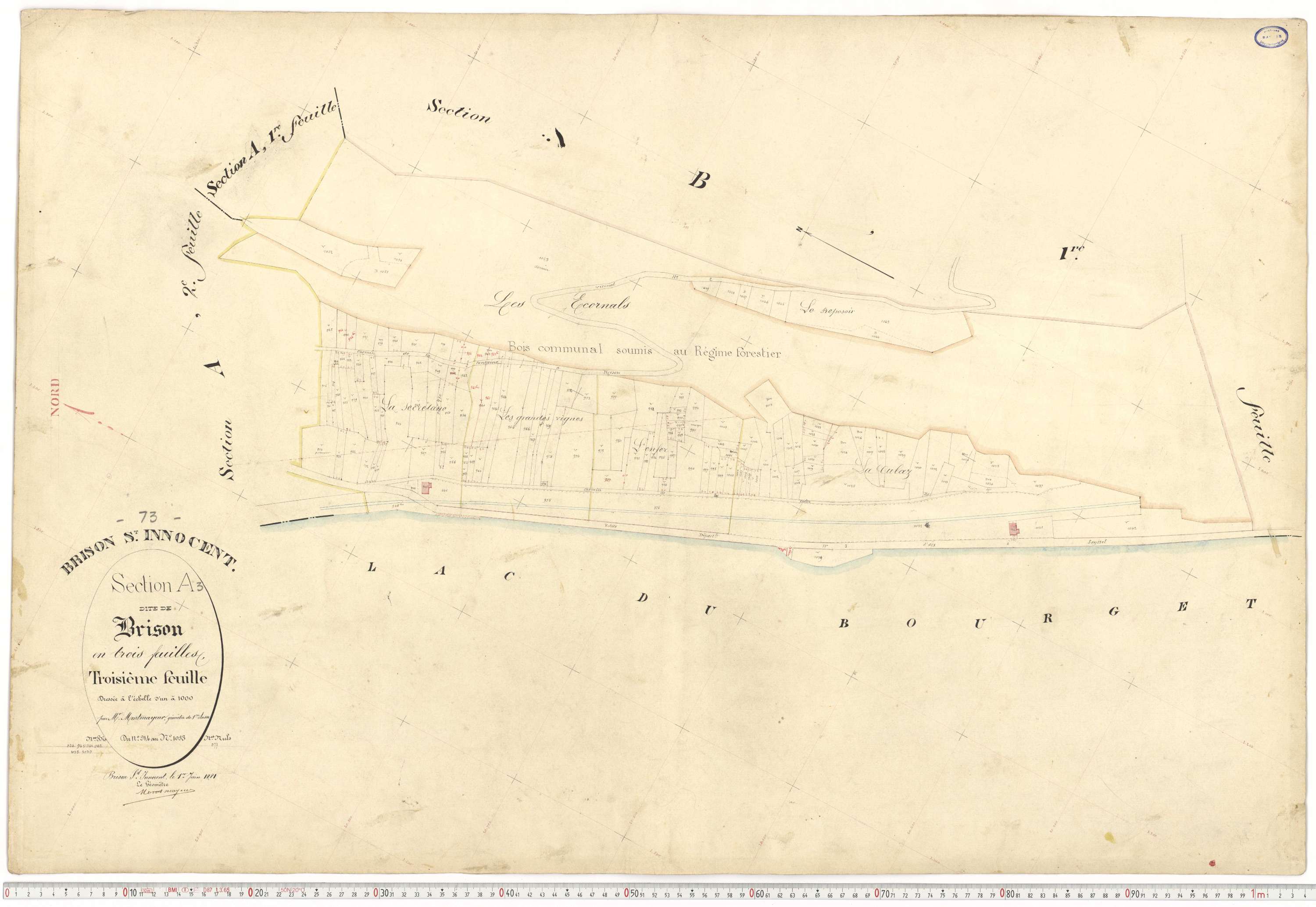 Brison-Saint-Innocent - Plans cadastraux du premier cadastre français.