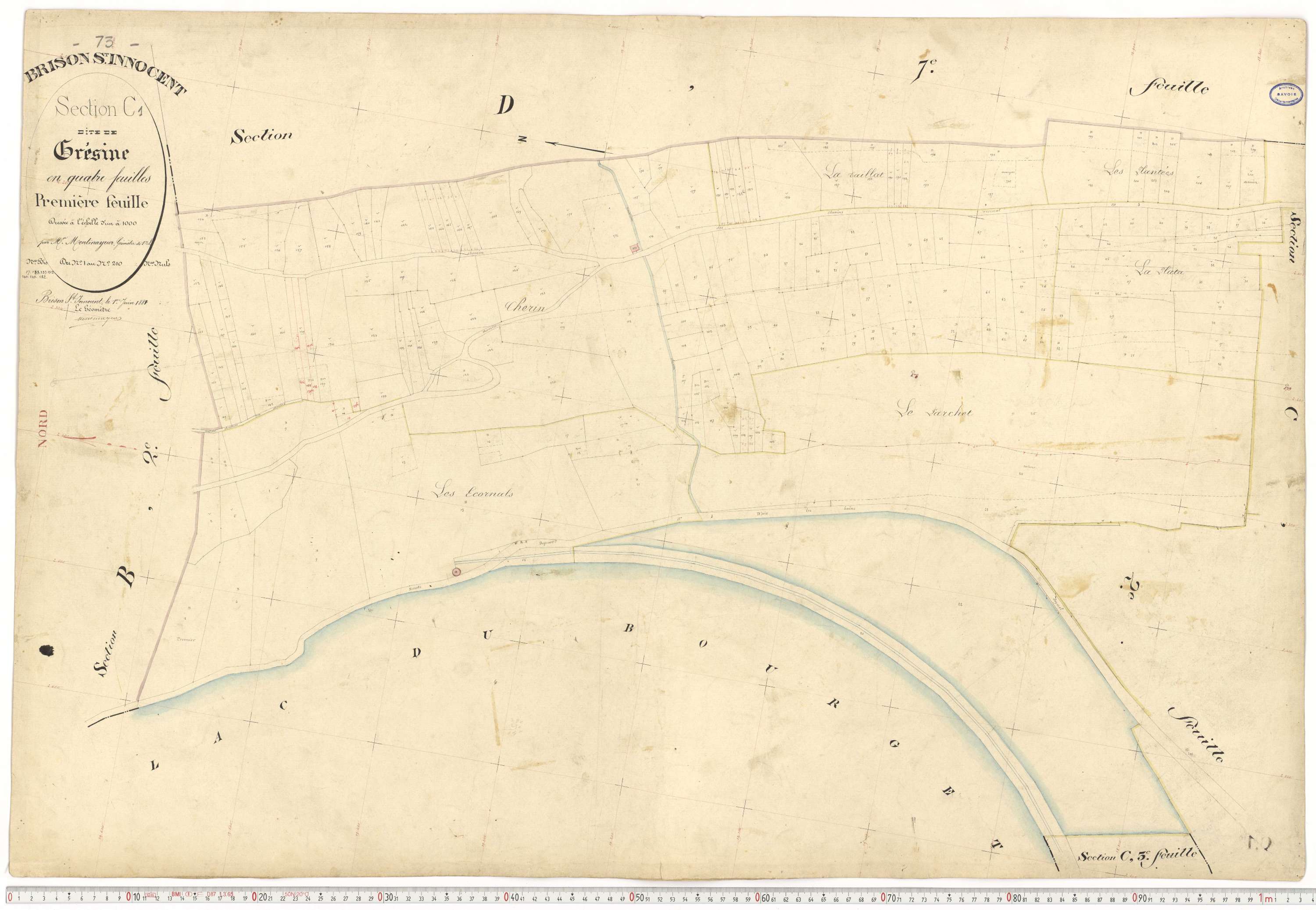Brison-Saint-Innocent - Plans cadastraux du premier cadastre français.