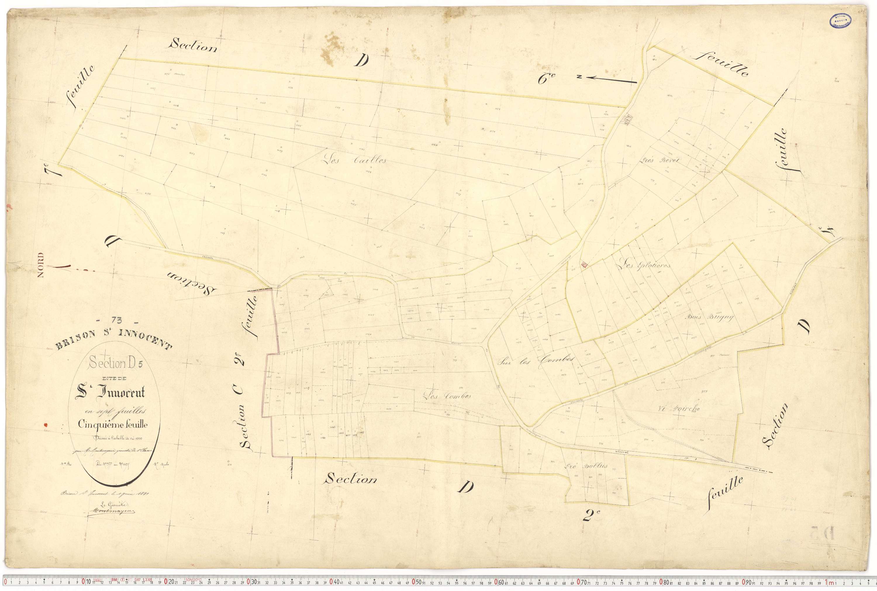 Brison-Saint-Innocent - Plans cadastraux du premier cadastre français.