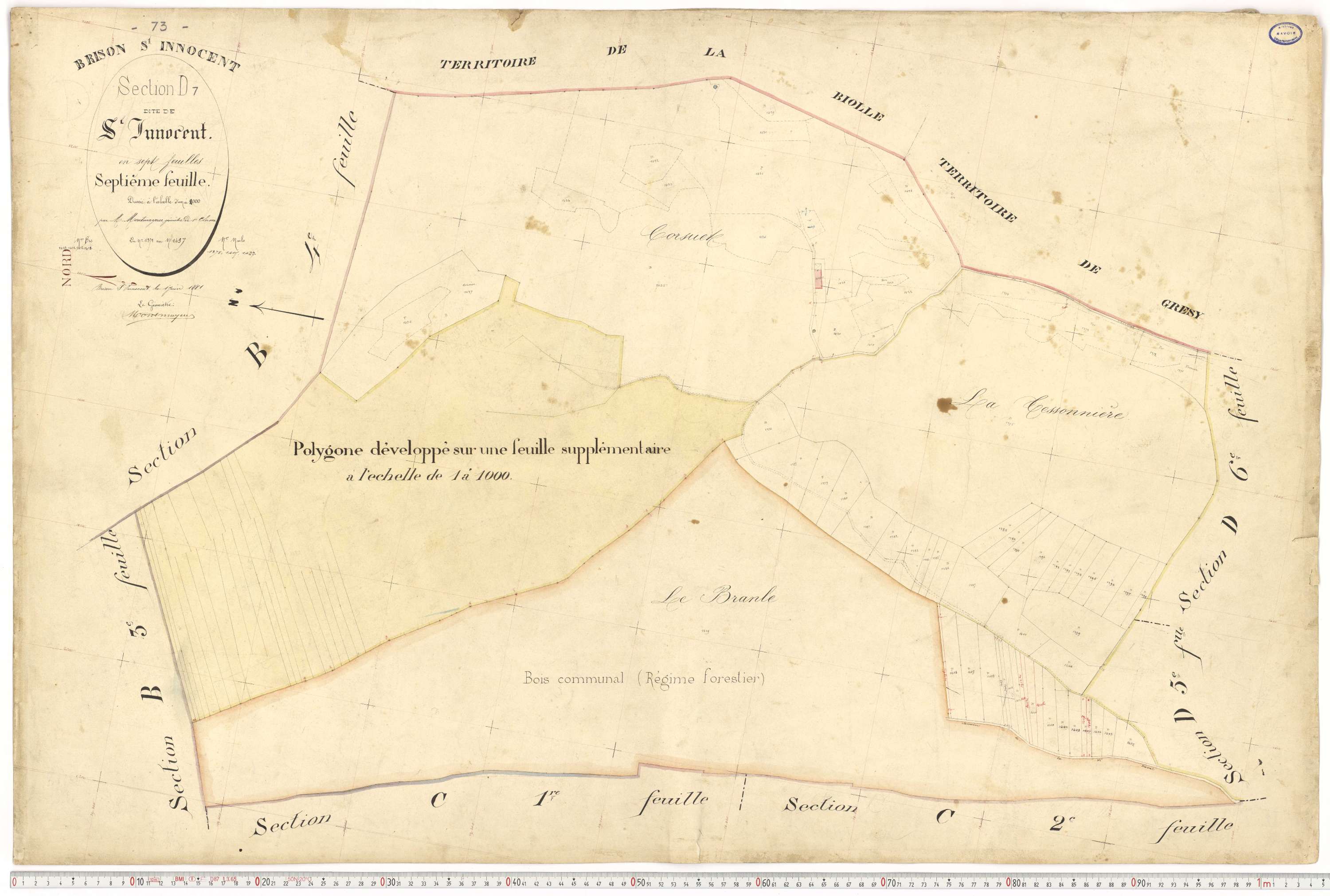 Brison-Saint-Innocent - Plans cadastraux du premier cadastre français.