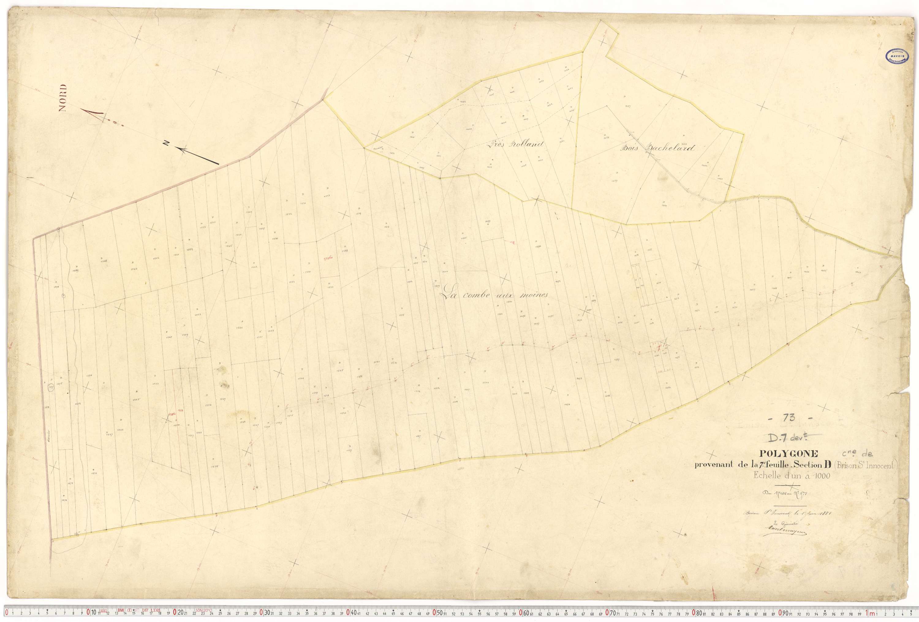 Brison-Saint-Innocent - Plans cadastraux du premier cadastre français.