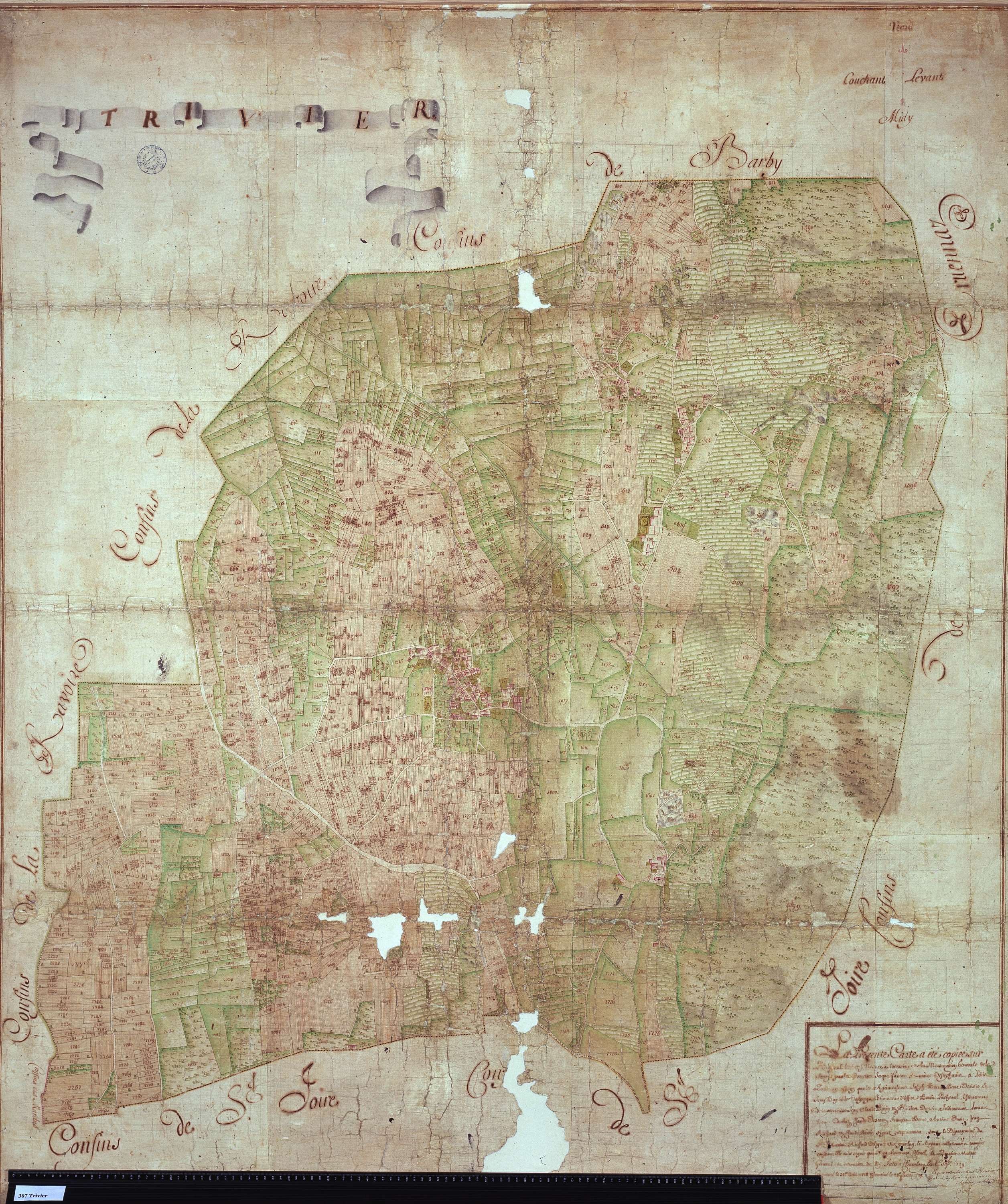 Challes-les-Eaux - Copie de la mappe originale (plan cadastral) de la commune de Triviers. Signée Cocelli, directeur de la péréquation.
