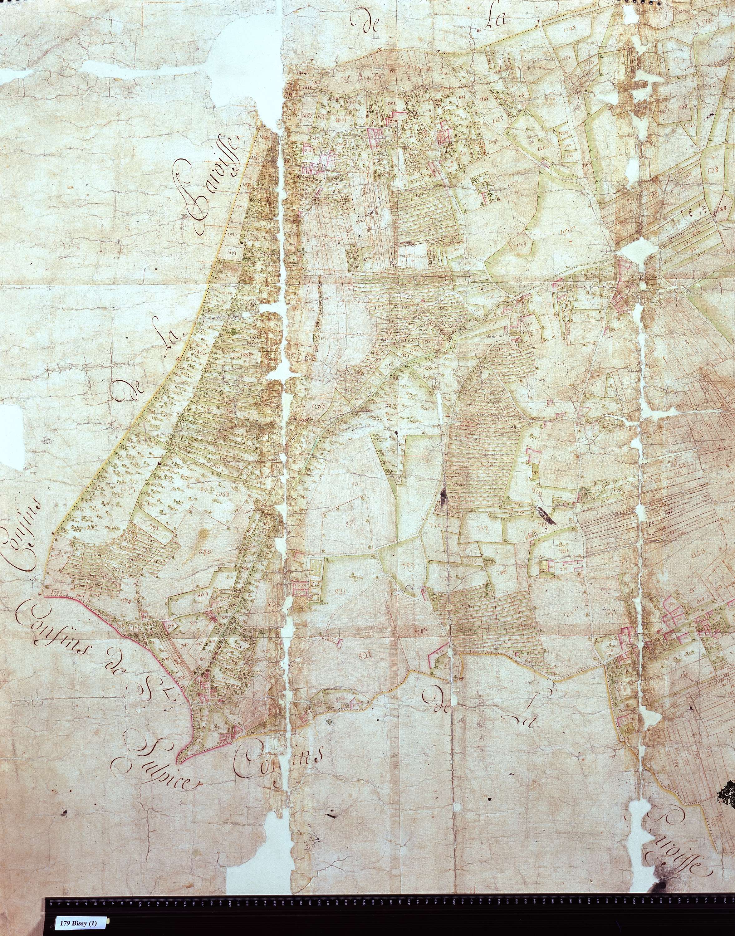 Chambéry - Copie de la mappe originale (plan cadastral) de la commune de Bissy. Signée Cocelli, directeur du bureau de la péréquation.
