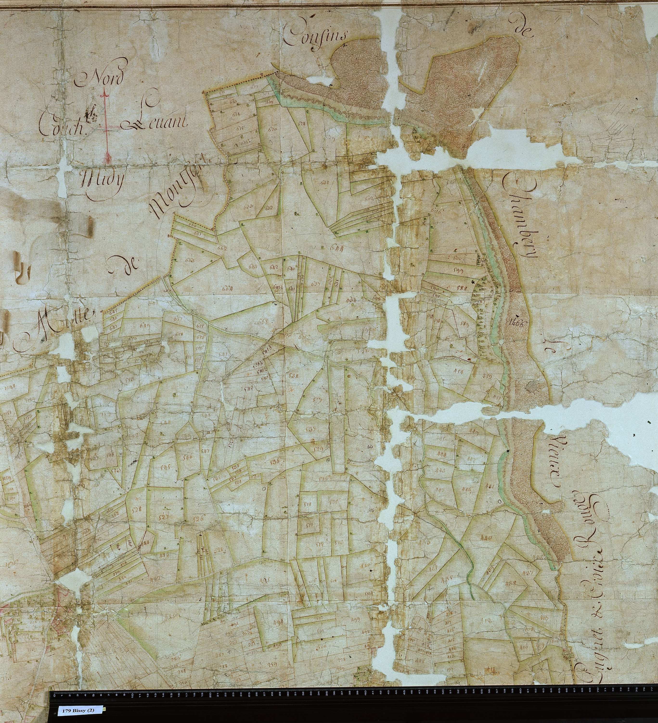 Chambéry - Copie de la mappe originale (plan cadastral) de la commune de Bissy. Signée Cocelli, directeur du bureau de la péréquation.
