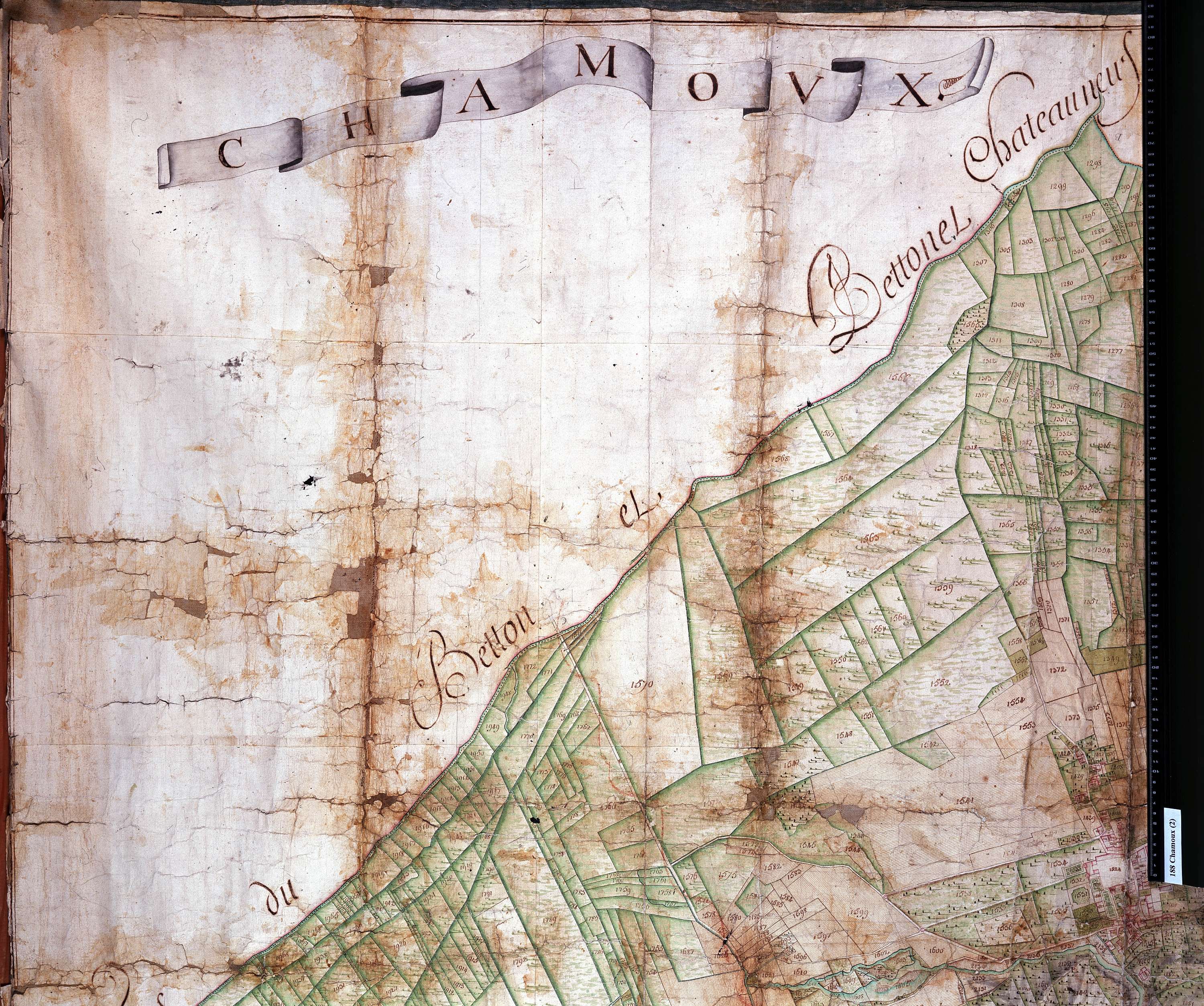 Chamoux-sur-Gelon - Copie de la mappe originale (plan cadastral) de la commune de Chamoux. Signée Cocelli, directeur du bureau de la péréquation générale.