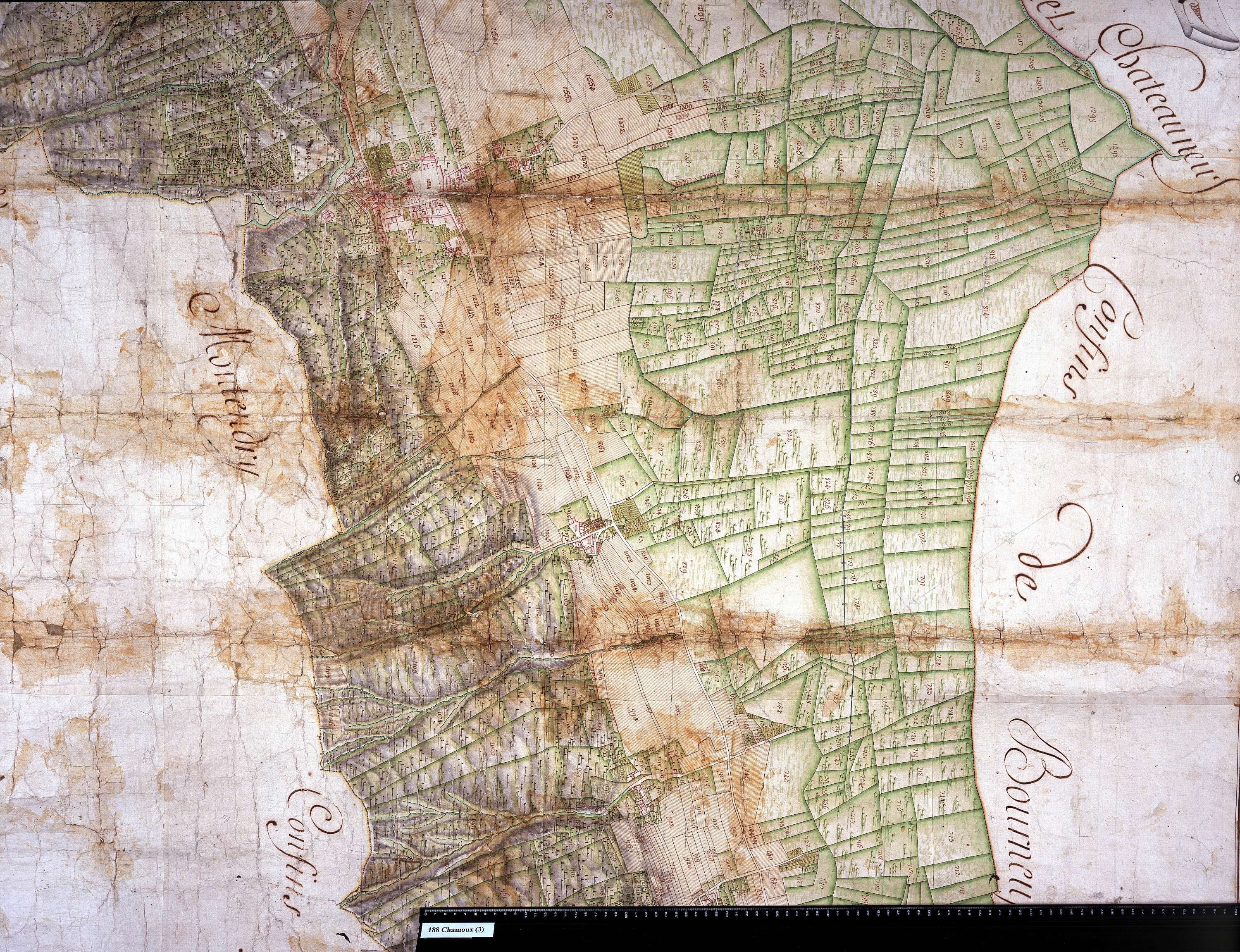Chamoux-sur-Gelon - Copie de la mappe originale (plan cadastral) de la commune de Chamoux. Signée Cocelli, directeur du bureau de la péréquation générale.