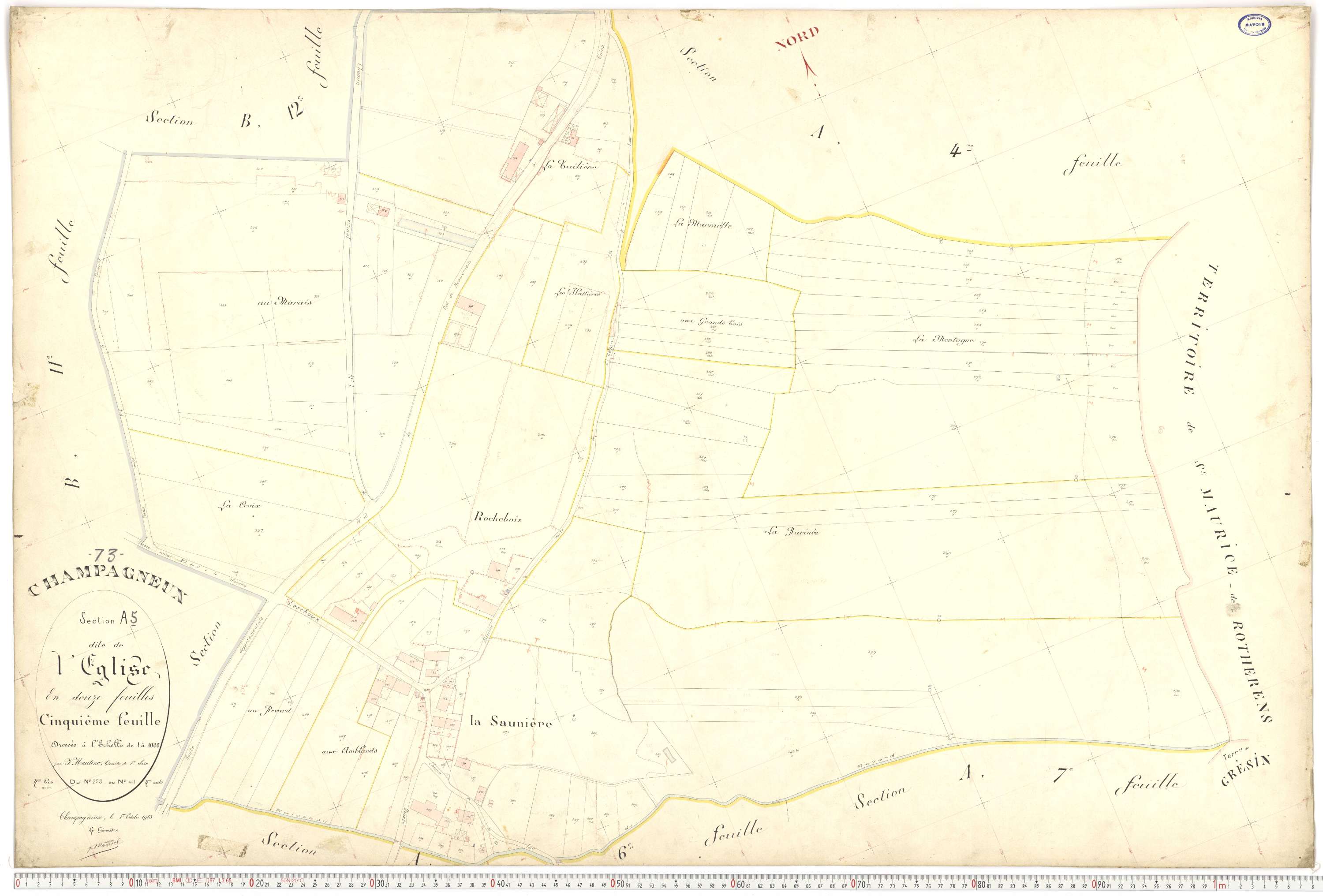 Champagneux - Plans cadastraux du premier cadastre français.