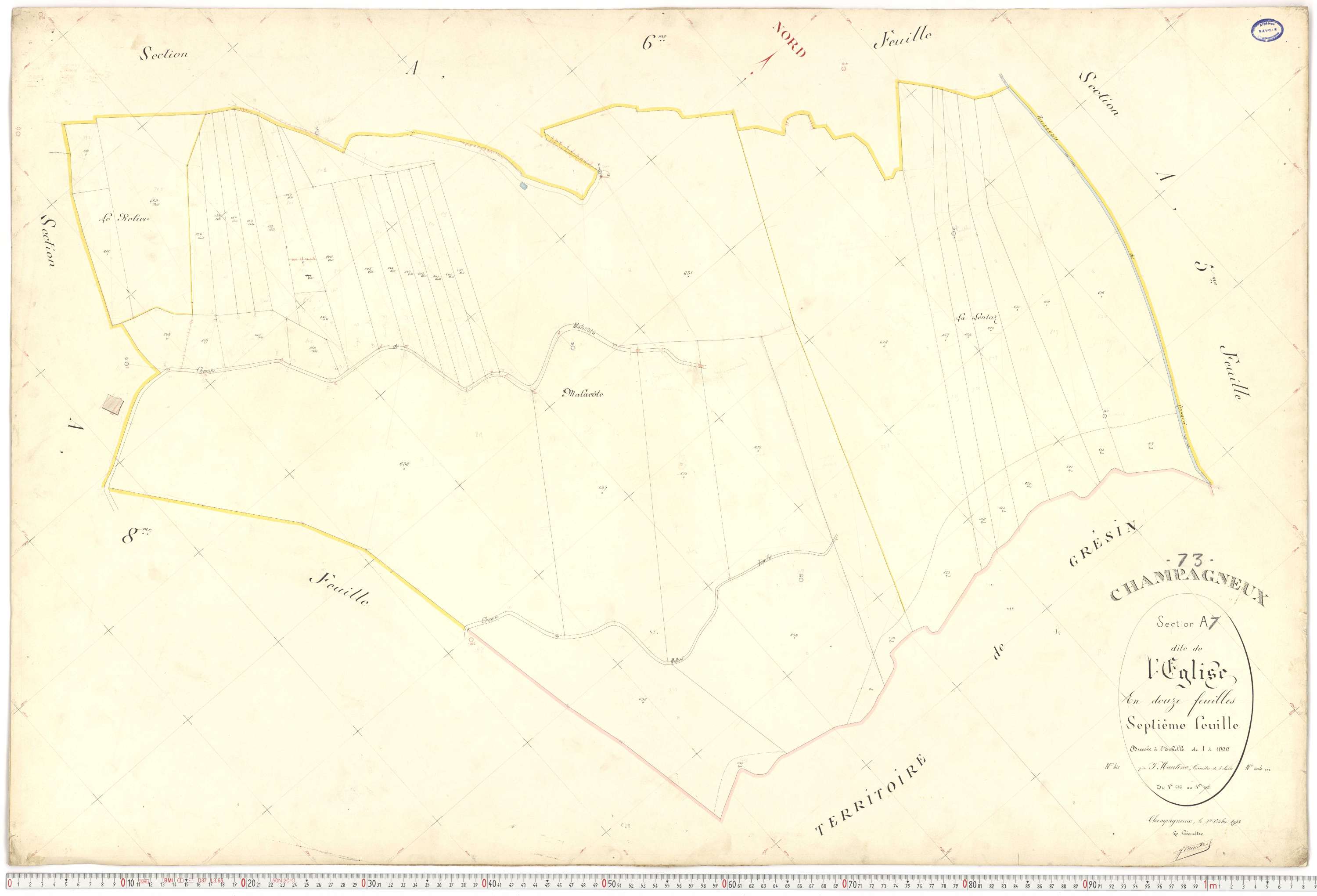 Champagneux - Plans cadastraux du premier cadastre français.