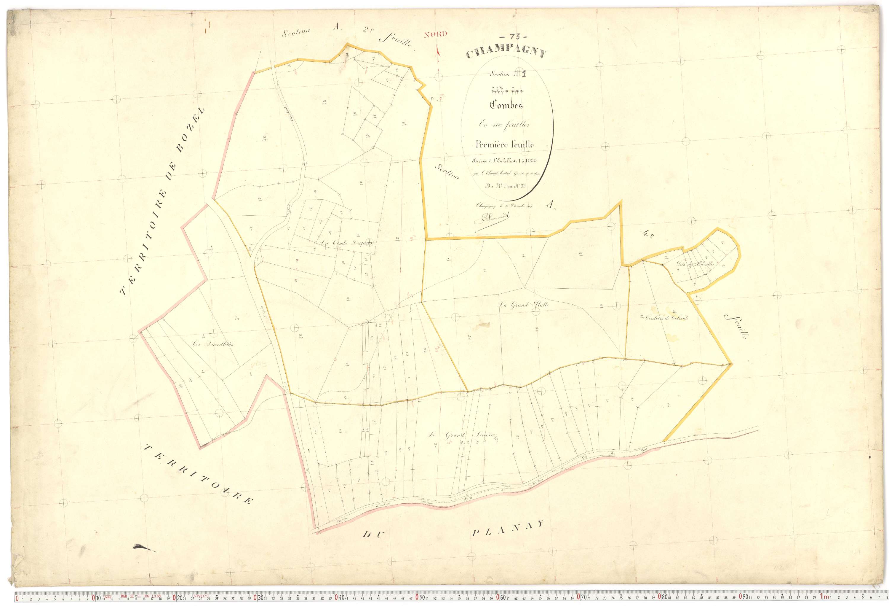 Champagny-en-Vanoise - Plans cadastraux du premier cadastre français.