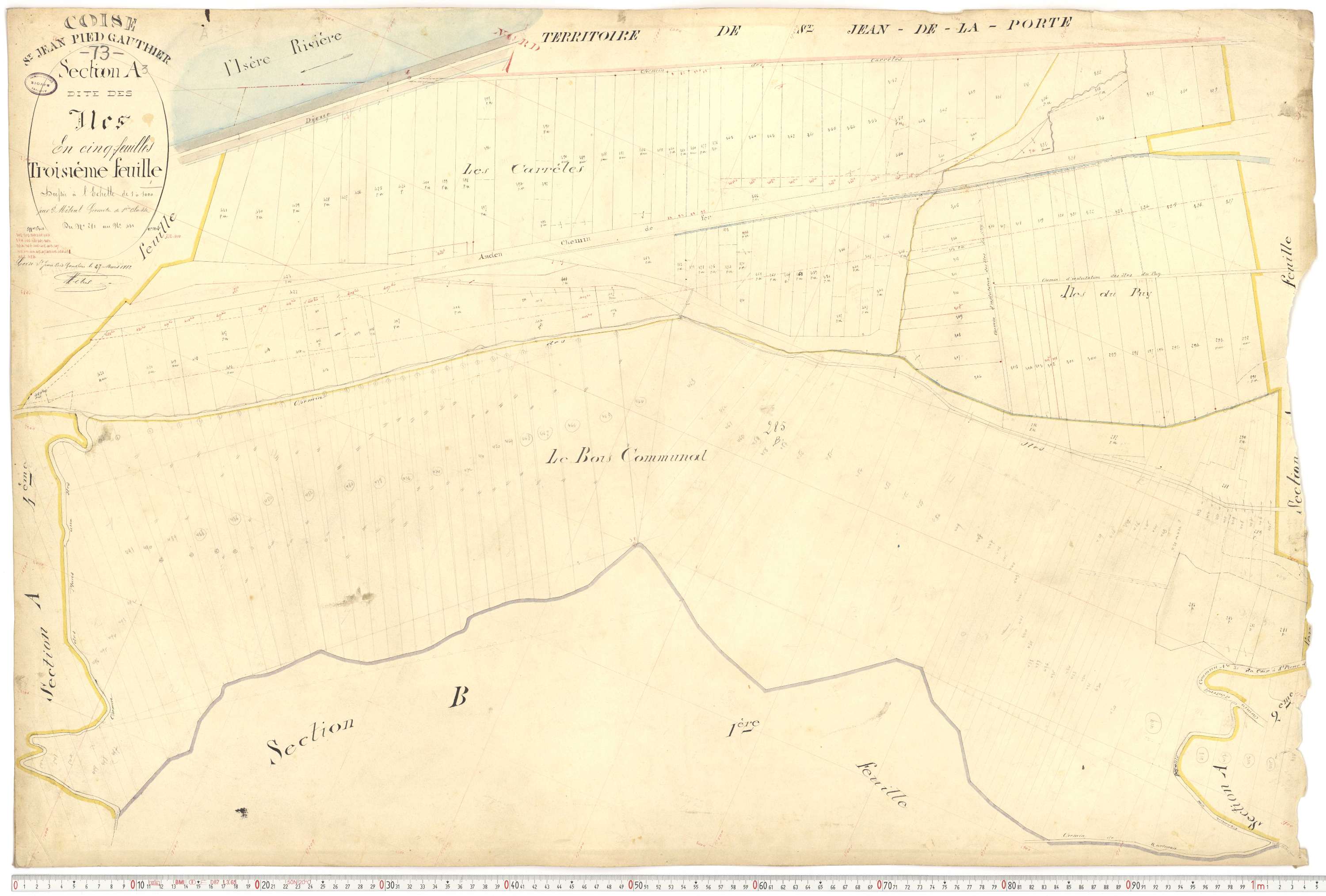 Coise-Saint-Jean-Pied-Gauthier - Cadastre français (1884).