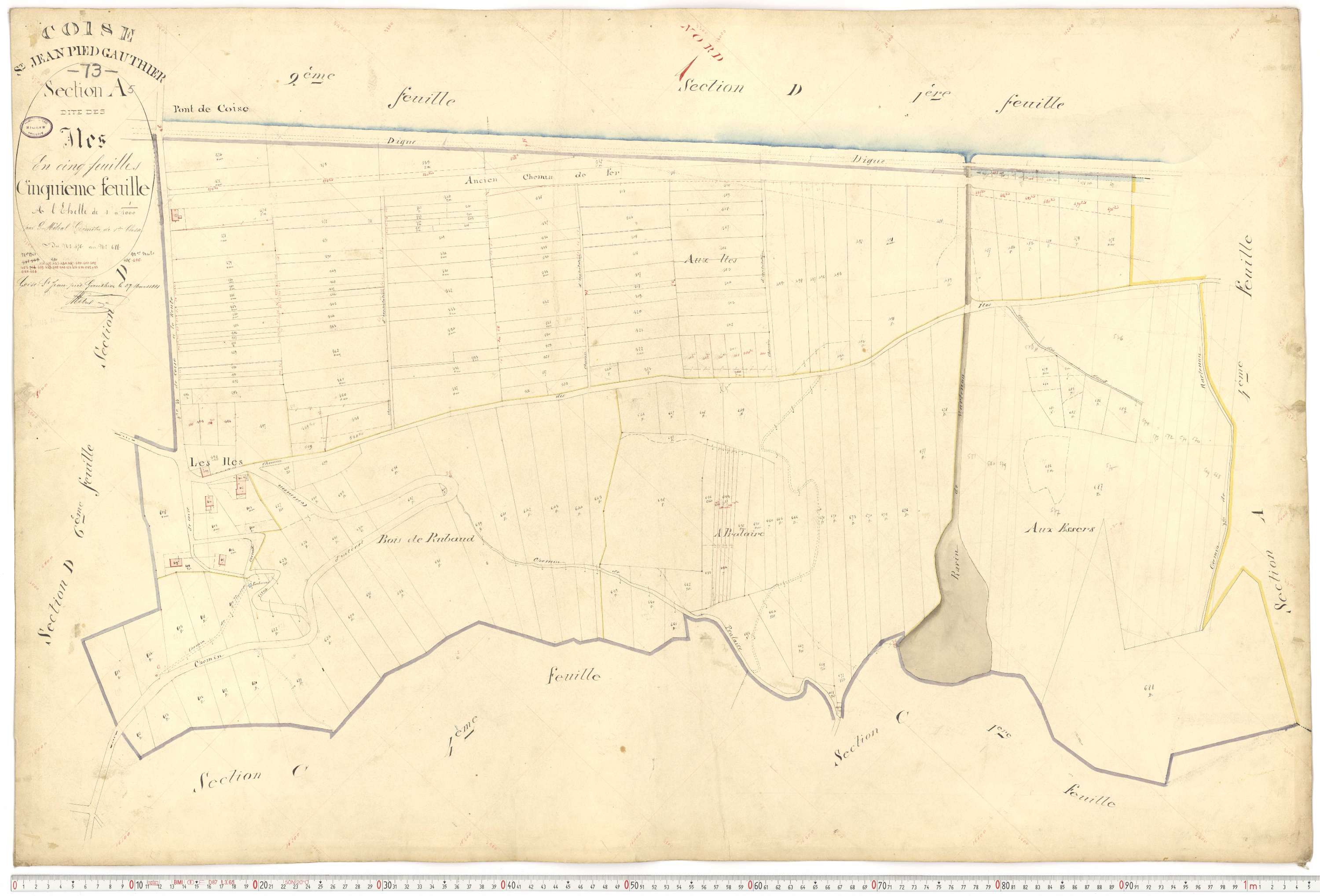 Coise-Saint-Jean-Pied-Gauthier - Cadastre français (1884).