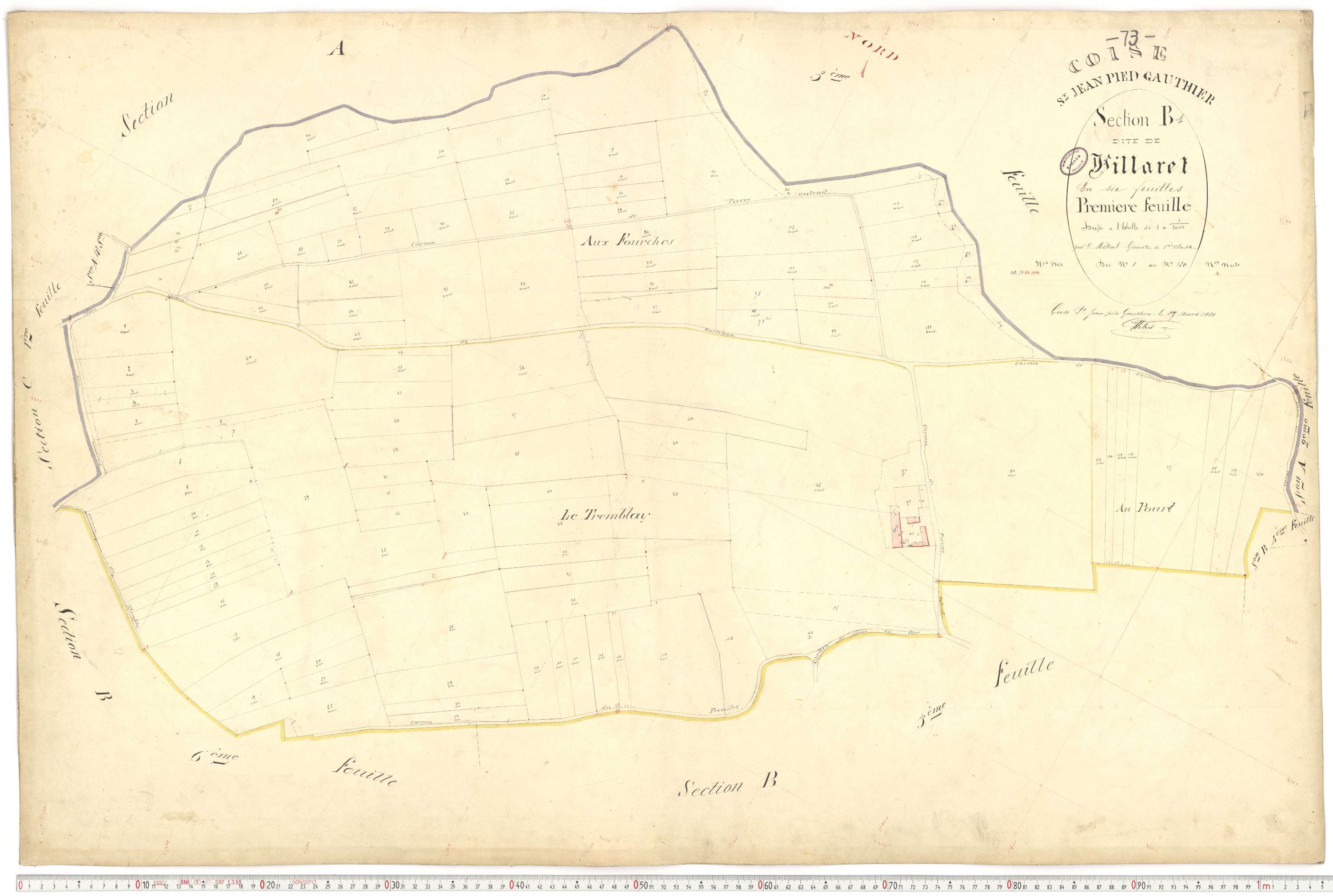 Coise-Saint-Jean-Pied-Gauthier - Cadastre français (1884).