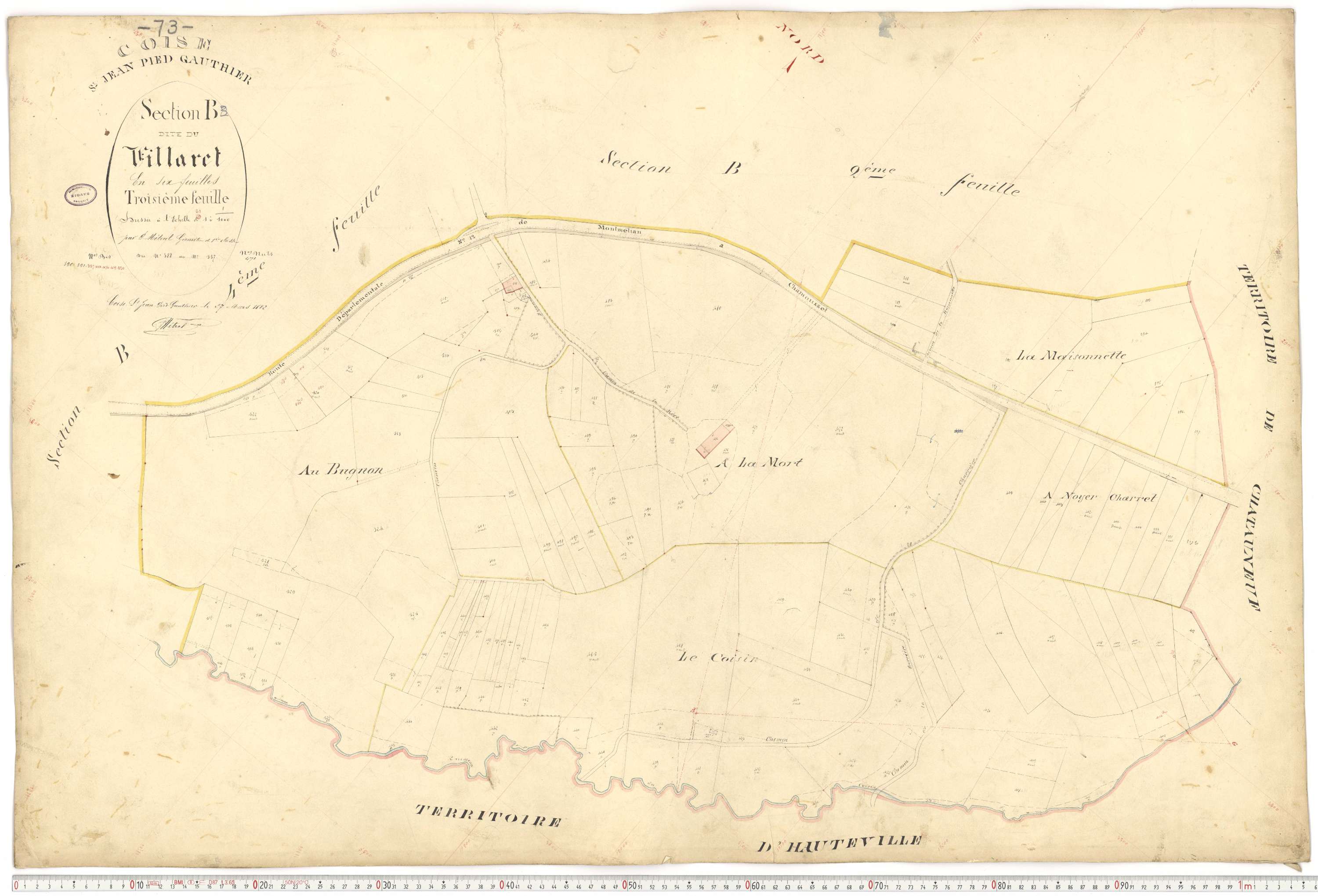 Coise-Saint-Jean-Pied-Gauthier - Cadastre français (1884).