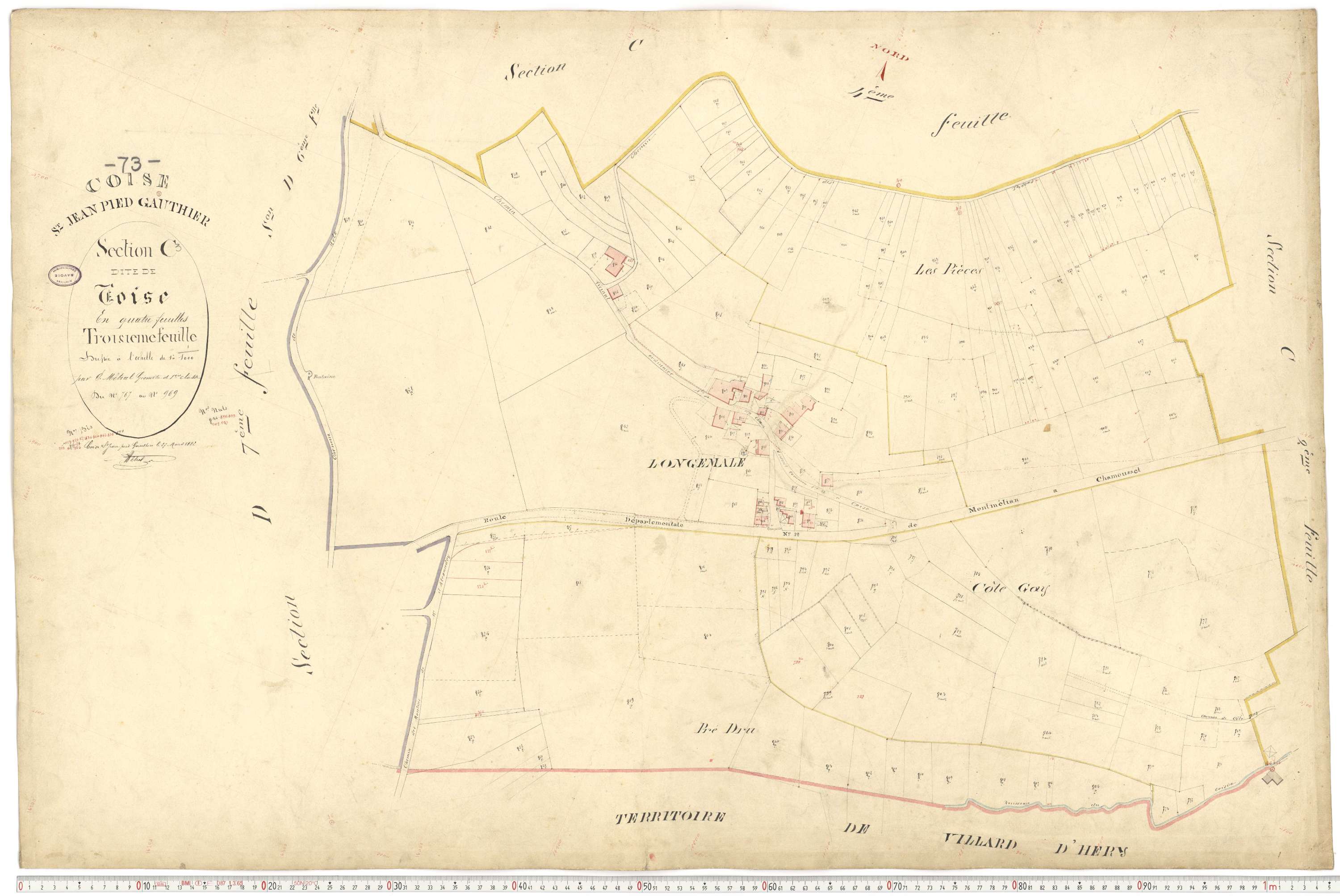 Coise-Saint-Jean-Pied-Gauthier - Cadastre français (1884).