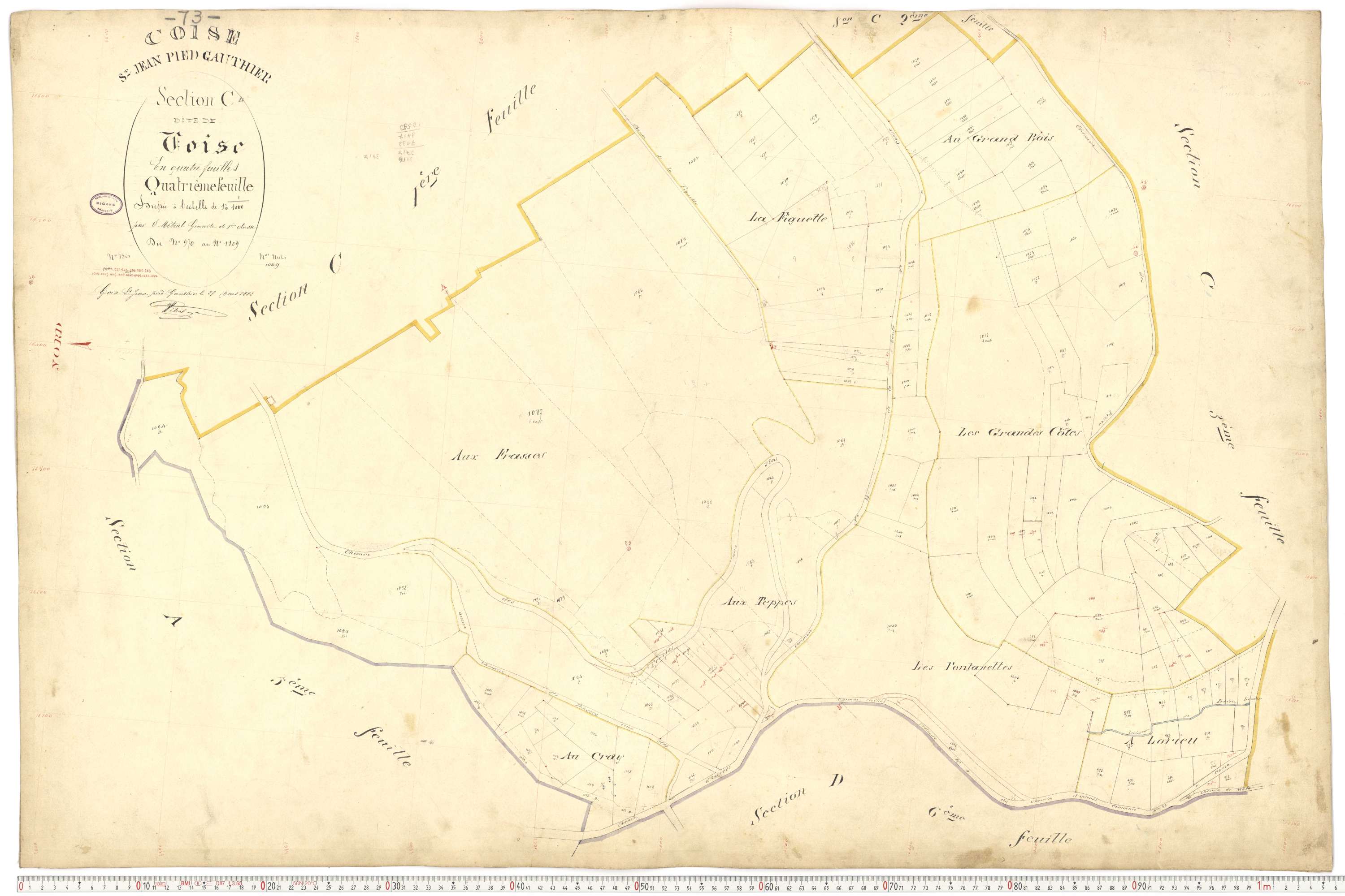 Coise-Saint-Jean-Pied-Gauthier - Cadastre français (1884).