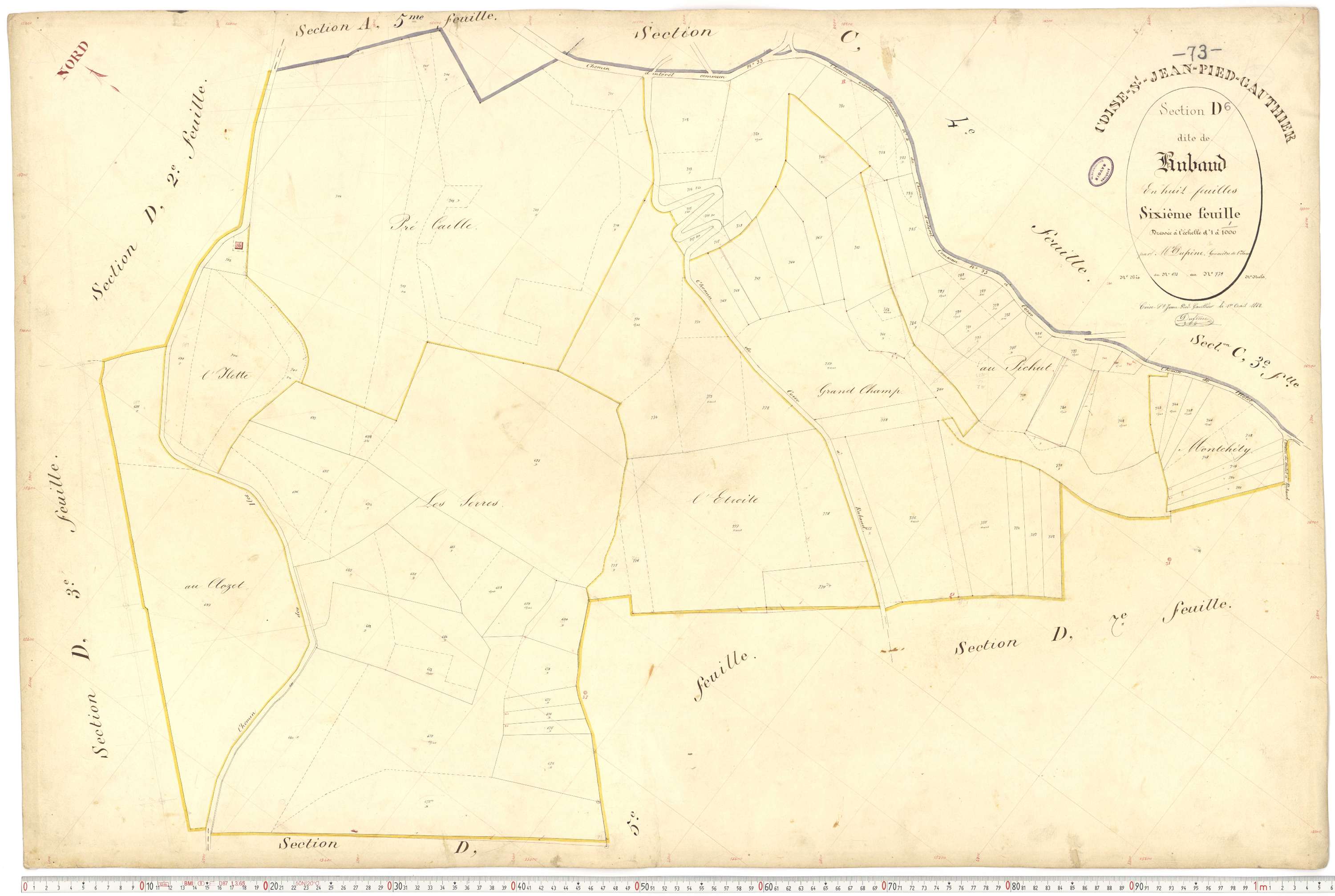 Coise-Saint-Jean-Pied-Gauthier - Cadastre français (1884).