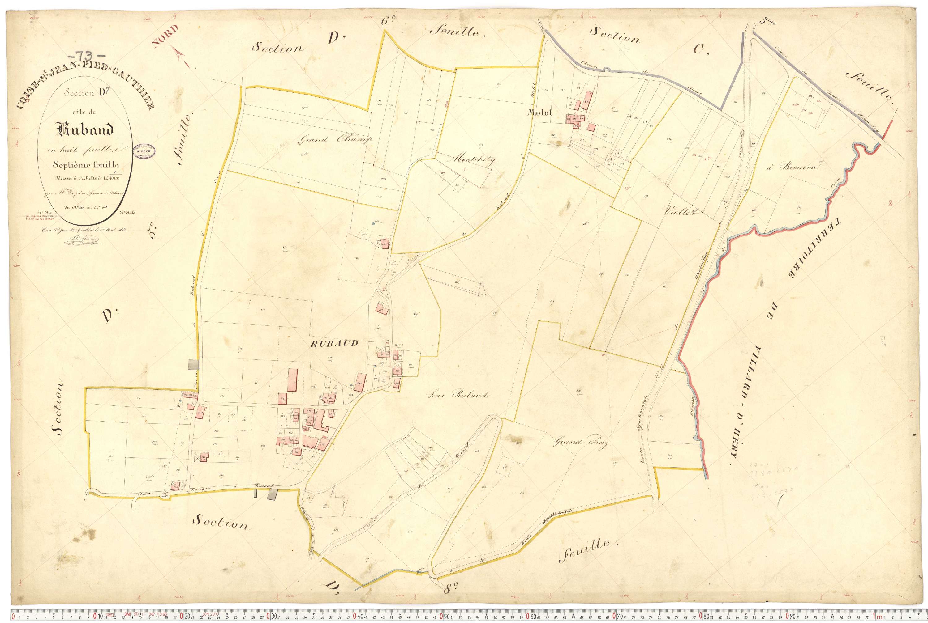 Coise-Saint-Jean-Pied-Gauthier - Cadastre français (1884).