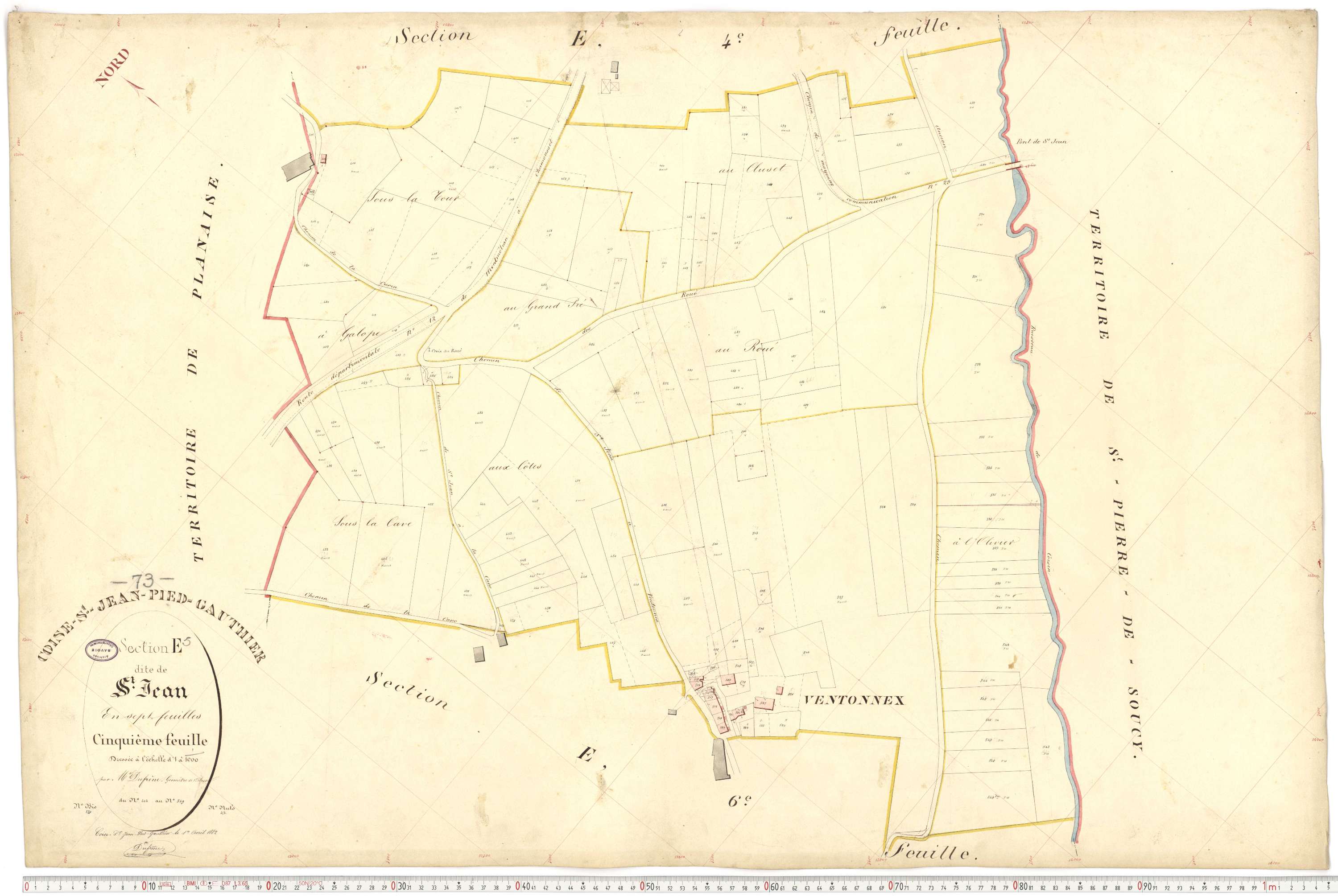 Coise-Saint-Jean-Pied-Gauthier - Cadastre français (1884).