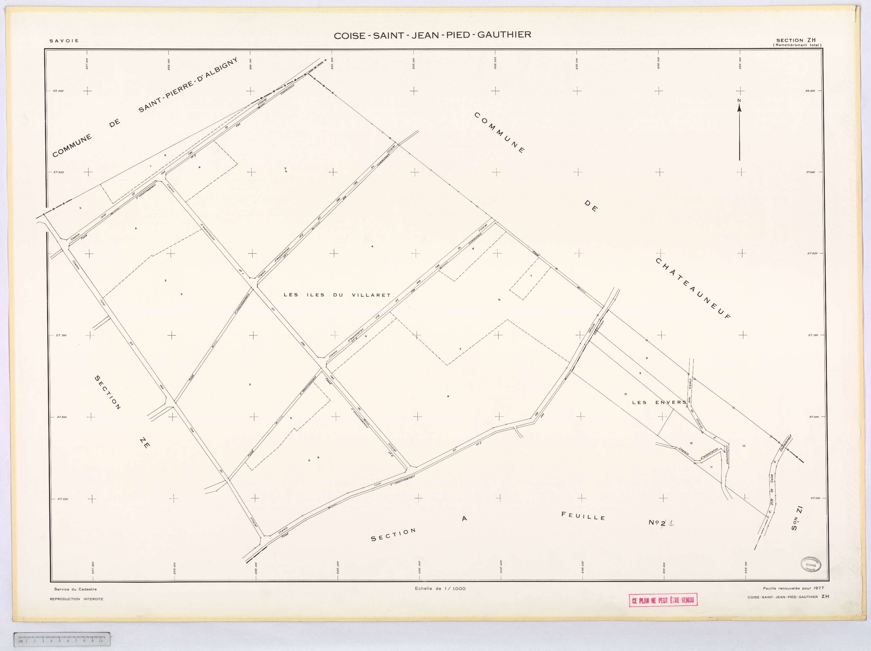 Coise-Saint-Jean-Pied-Gauthier - Cadastre remembré (1976).