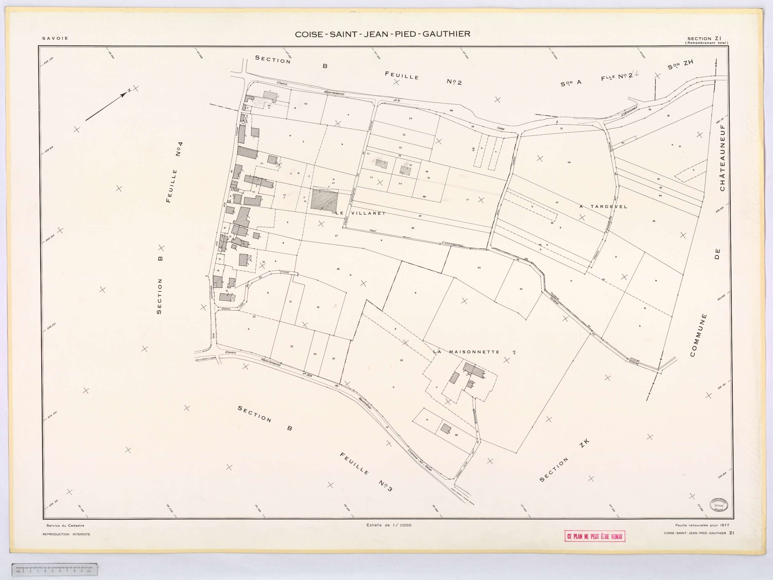 Coise-Saint-Jean-Pied-Gauthier - Cadastre remembré (1976).