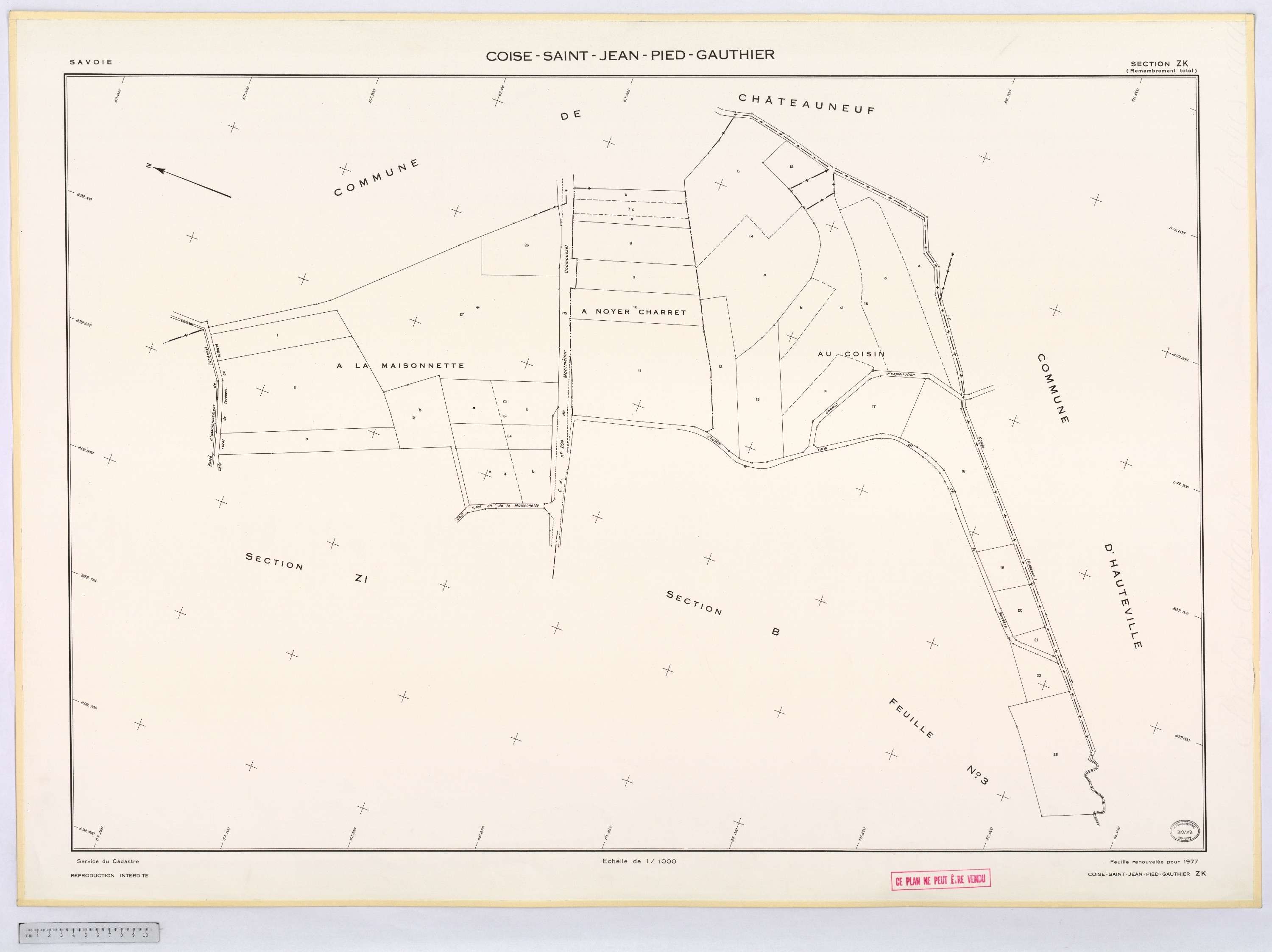 Coise-Saint-Jean-Pied-Gauthier - Cadastre remembré (1976).