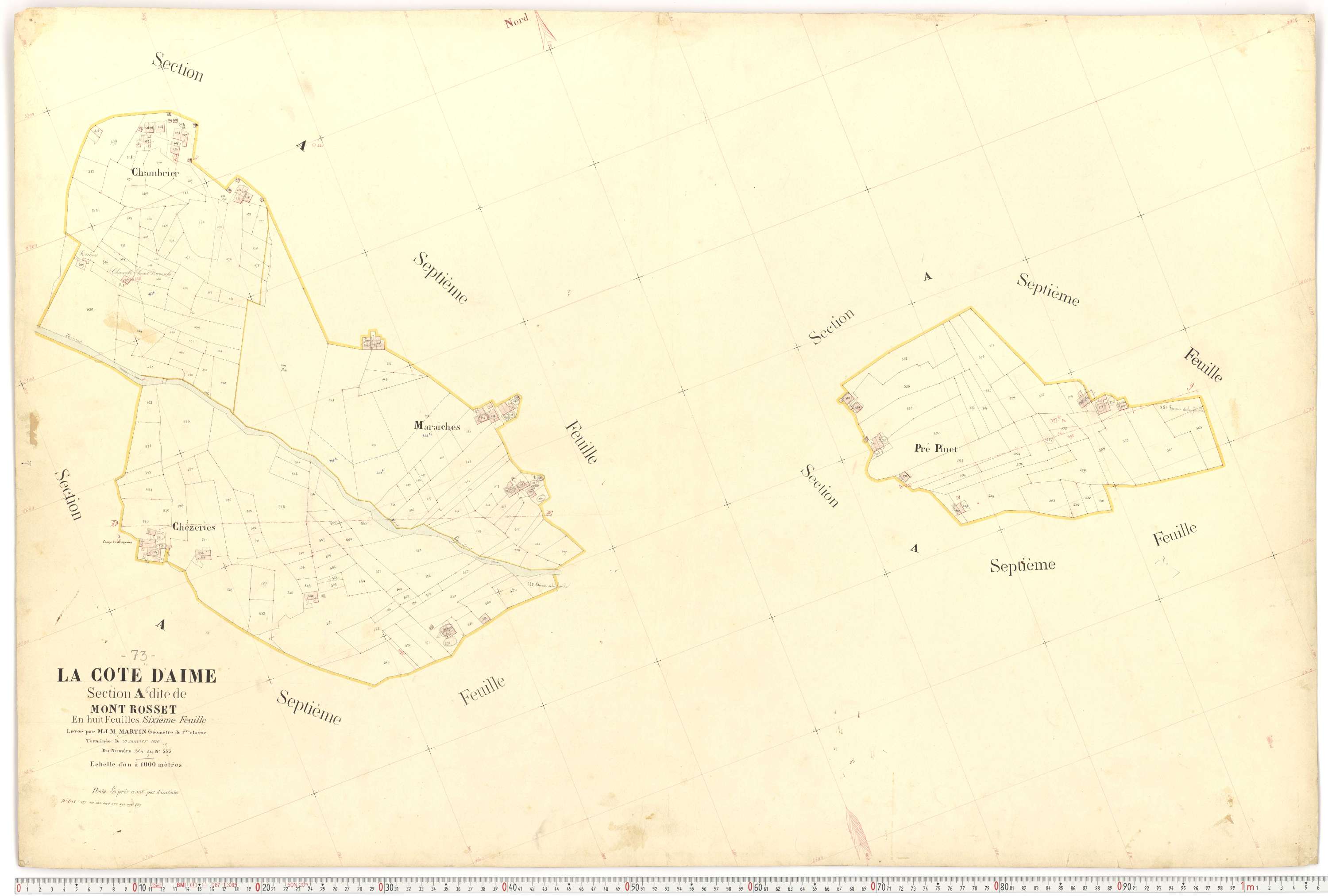 La Côte-d'Aime - Plans cadastraux du premier cadastre français.