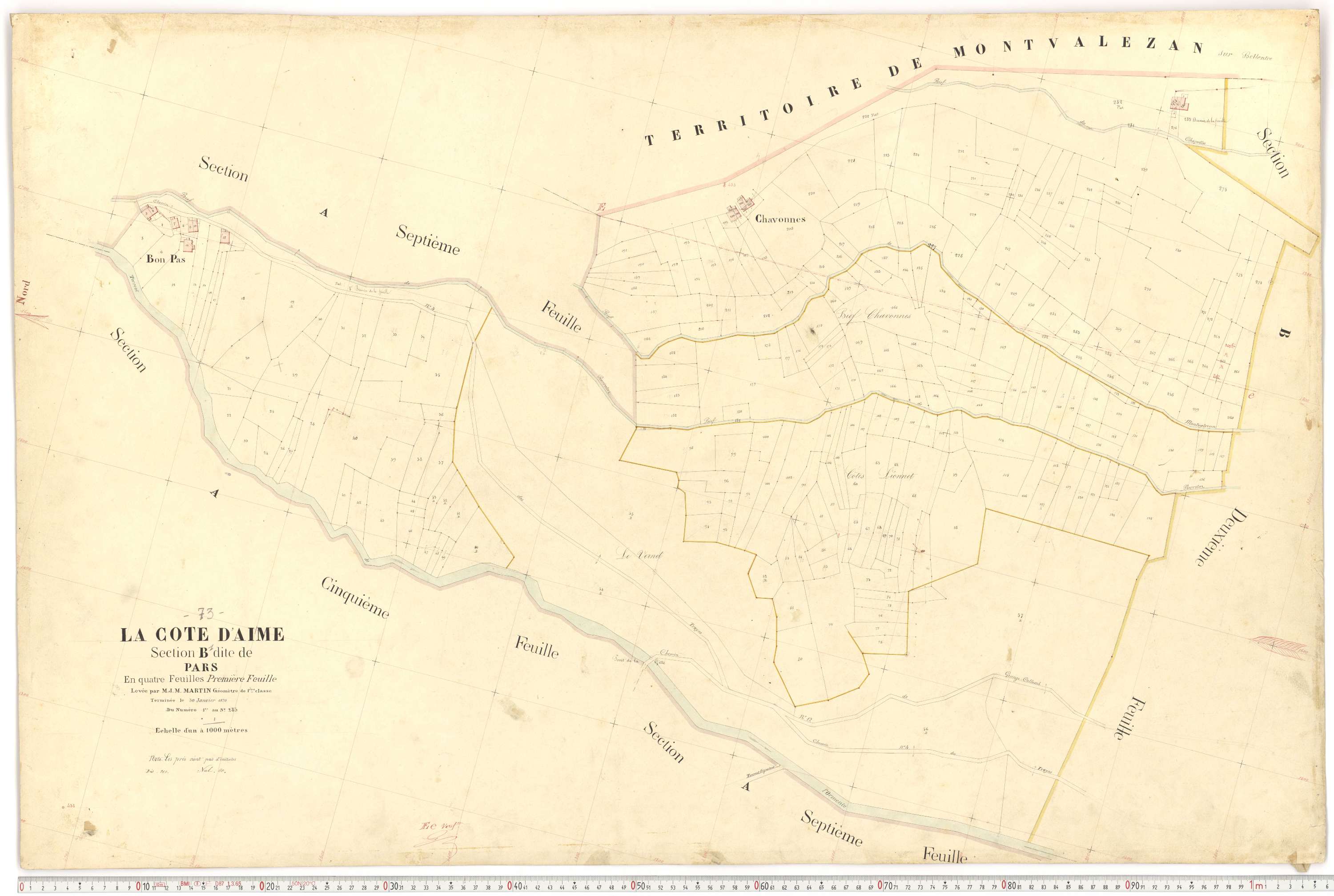La Côte-d'Aime - Plans cadastraux du premier cadastre français.