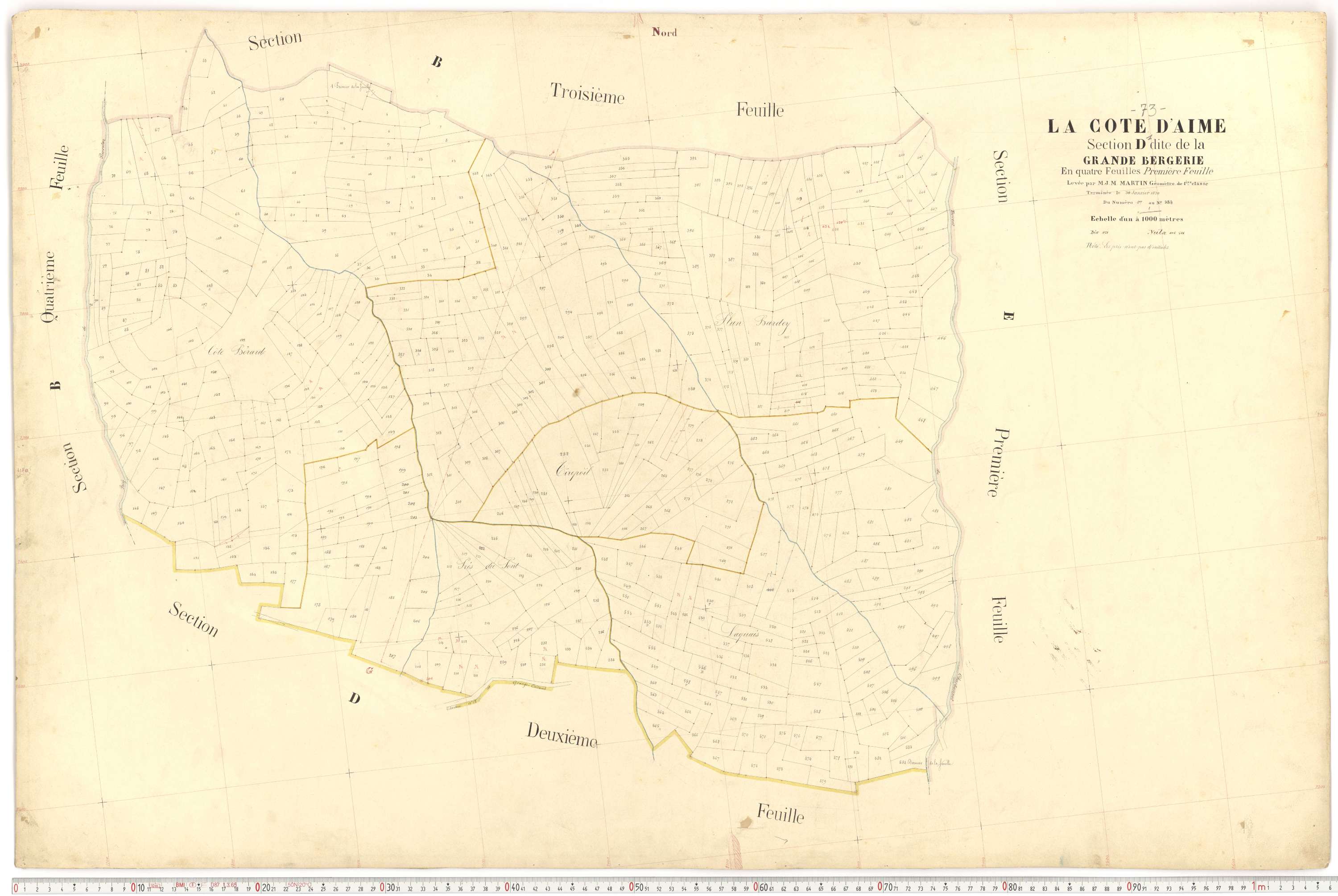 La Côte-d'Aime - Plans cadastraux du premier cadastre français.