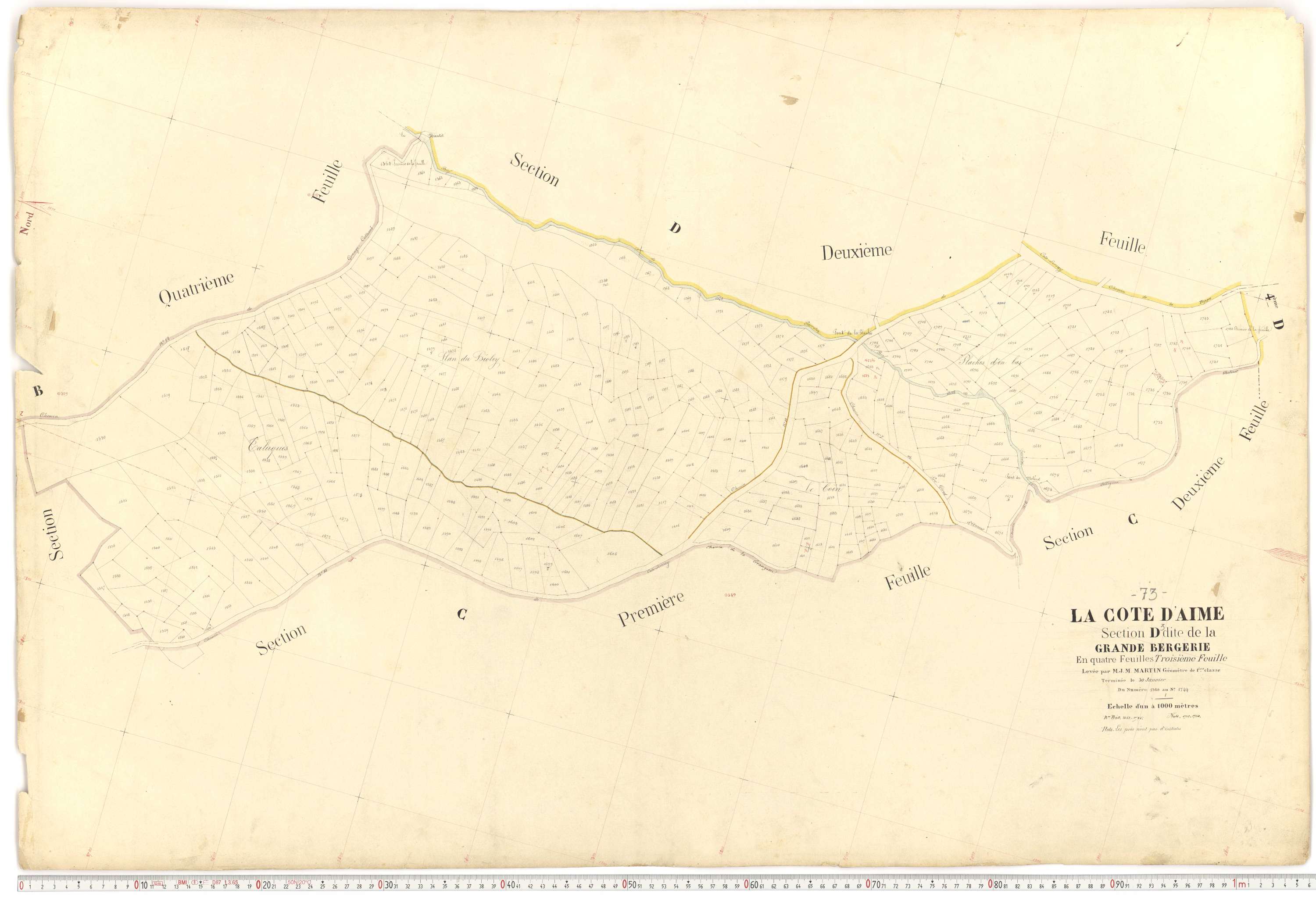 La Côte-d'Aime - Plans cadastraux du premier cadastre français.