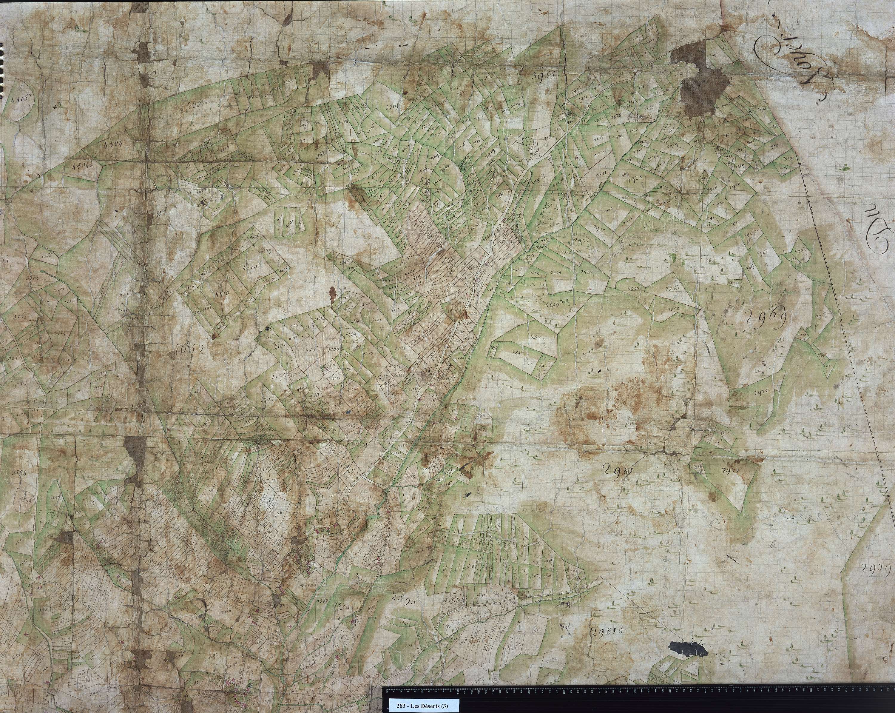 Déserts - 283_3.jpg