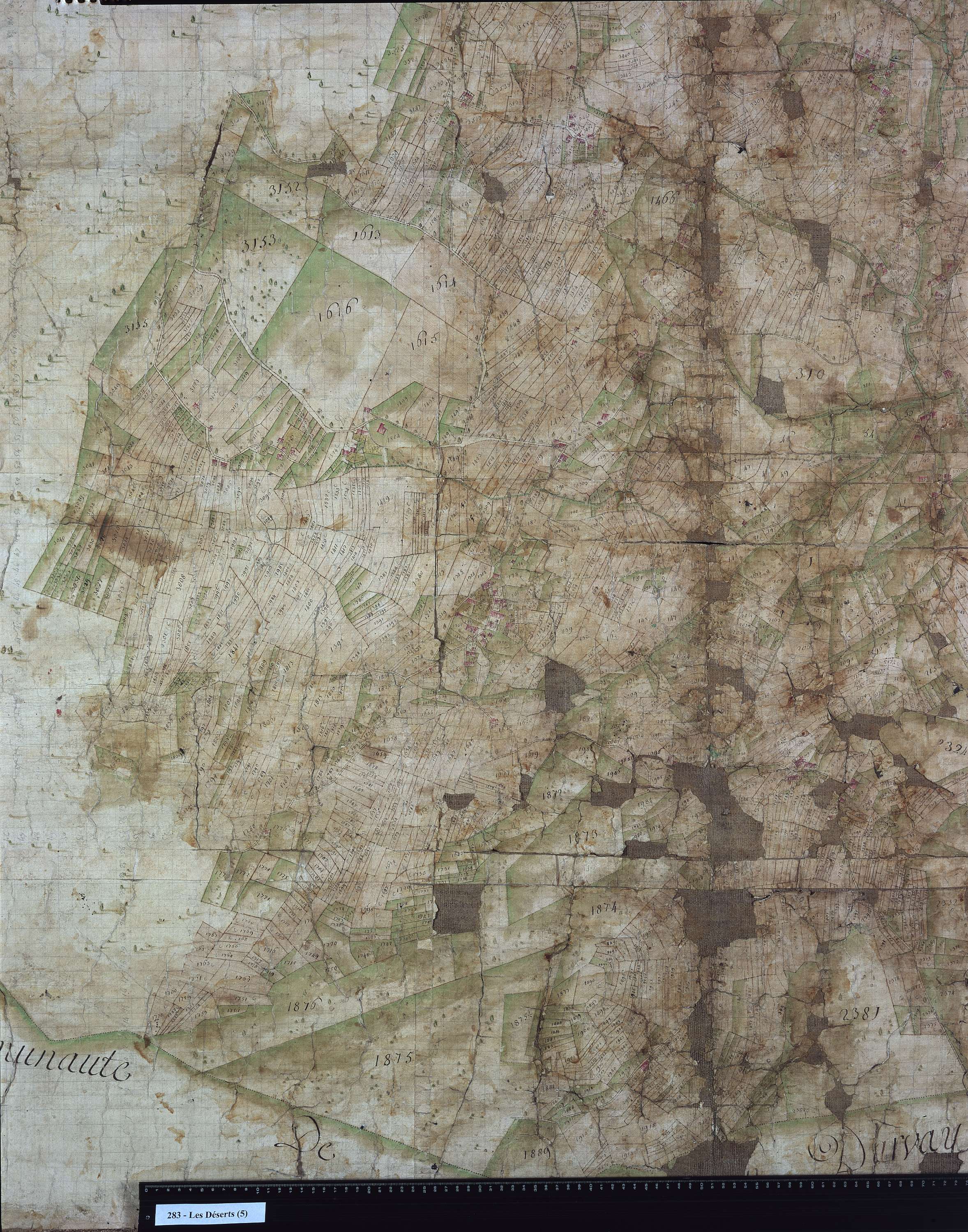 Déserts - 283_5.jpg