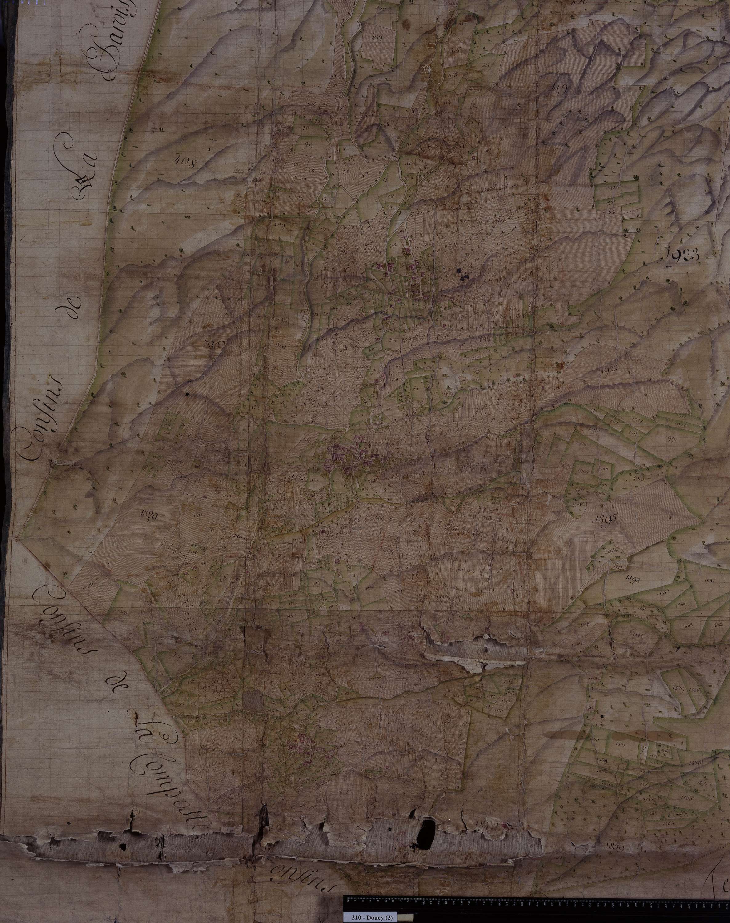 Doucy-en-Bauges - Copie de la mappe originale (plan cadastral) de la commune de Doucy en Beauges. Signée Cocelli, directeur de la péréquation.