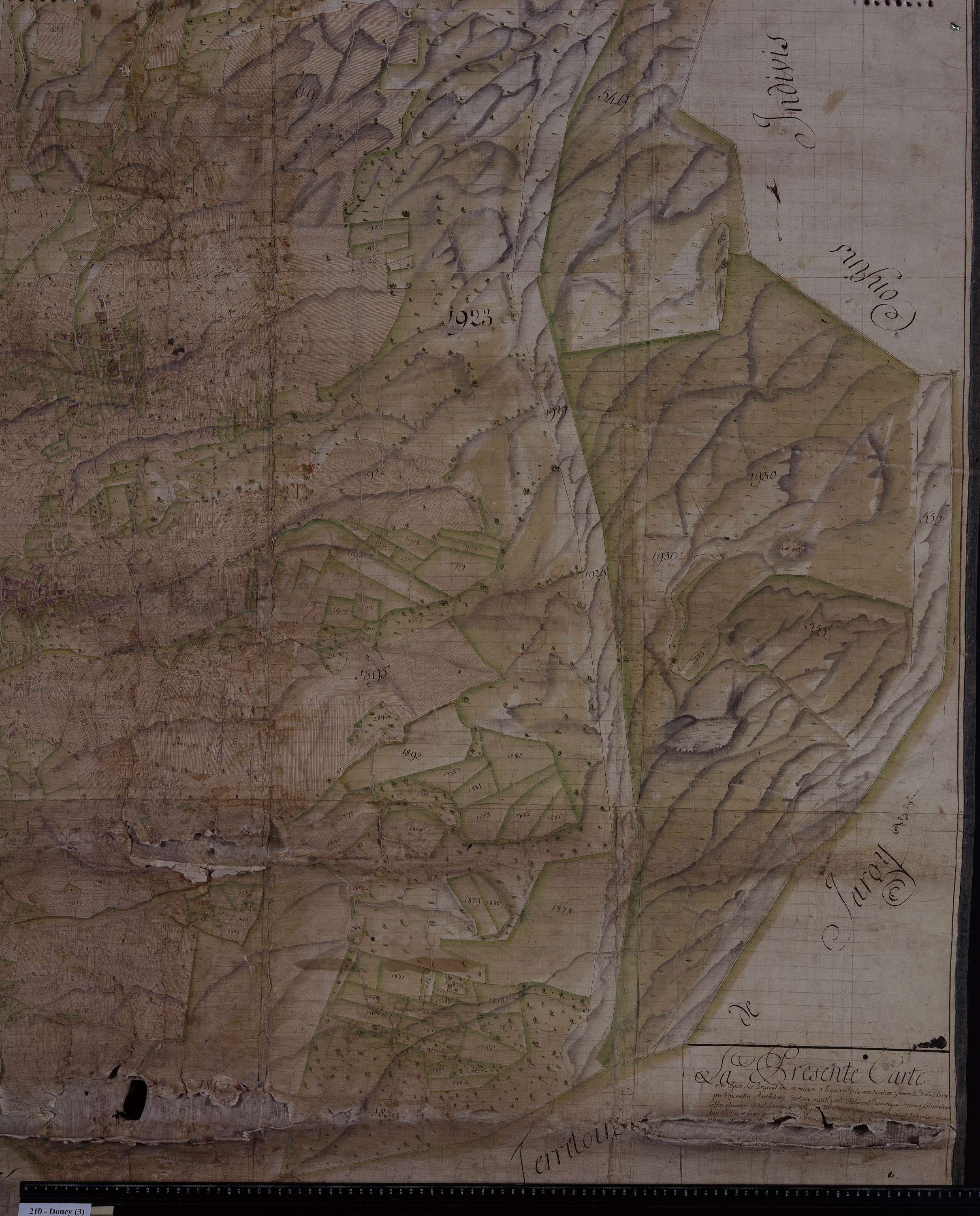 Doucy-en-Bauges - Copie de la mappe originale (plan cadastral) de la commune de Doucy en Beauges. Signée Cocelli, directeur de la péréquation.