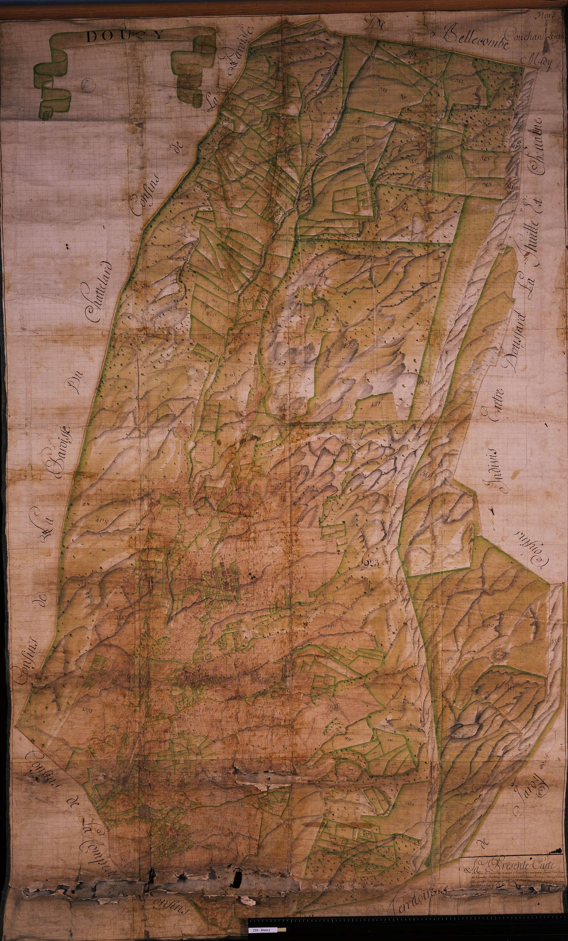 Doucy-en-Bauges - Copie de la mappe originale (plan cadastral) de la commune de Doucy en Beauges. Signée Cocelli, directeur de la péréquation.