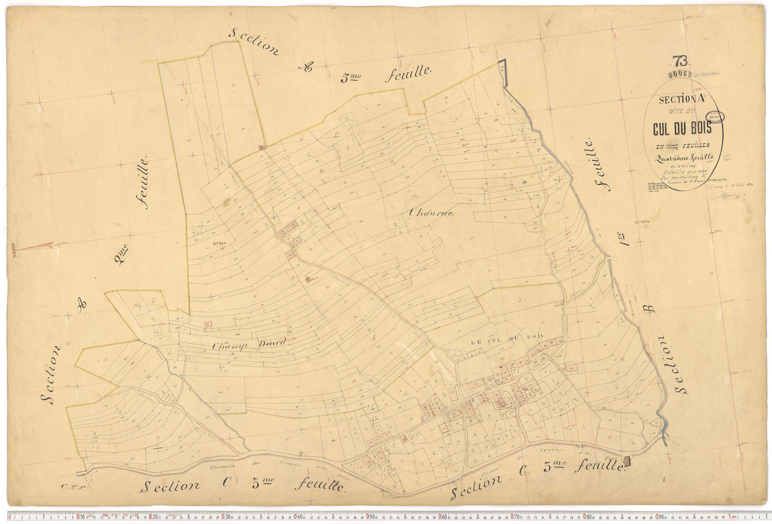 Doucy-en-Bauges - Cadastre français (1879).