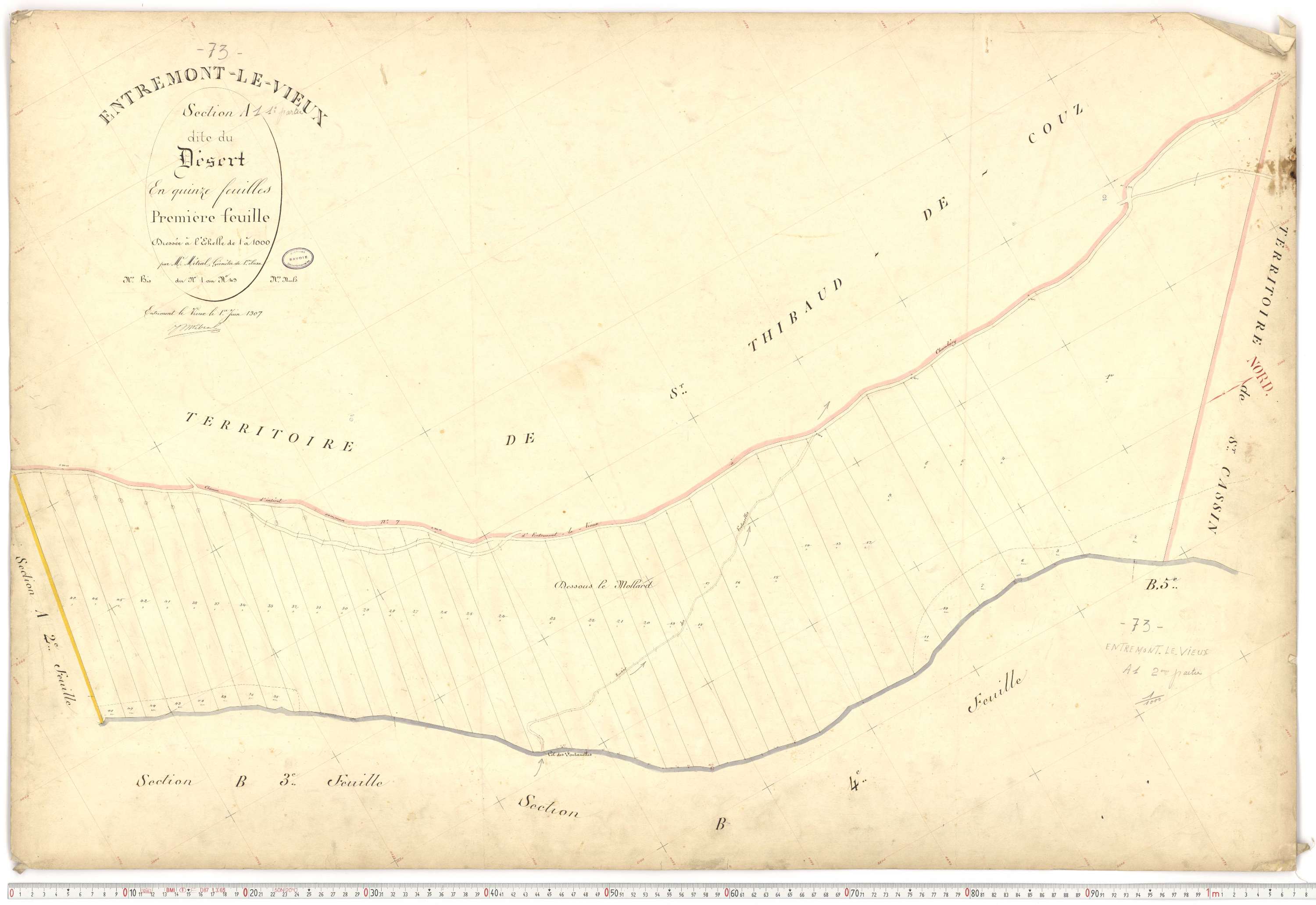 Entremont-le-Vieux - Cadastre français (1907).
