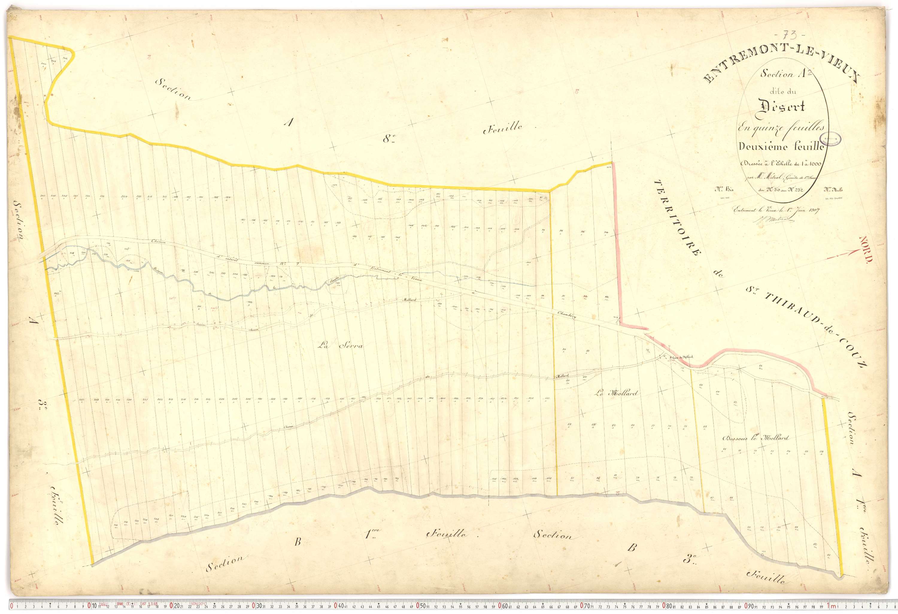 Entremont-le-Vieux - Cadastre français (1907).