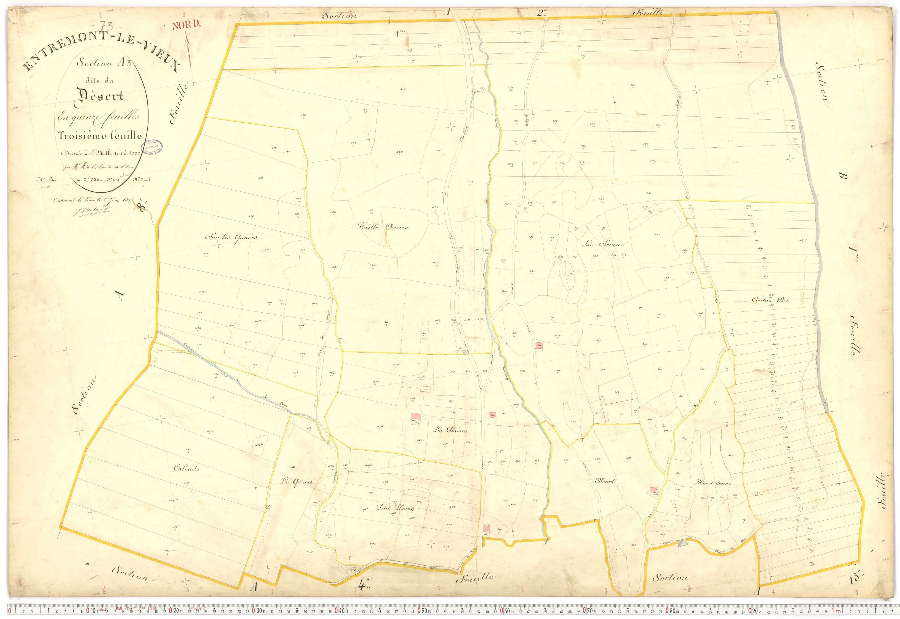 Entremont-le-Vieux - Cadastre français (1907).