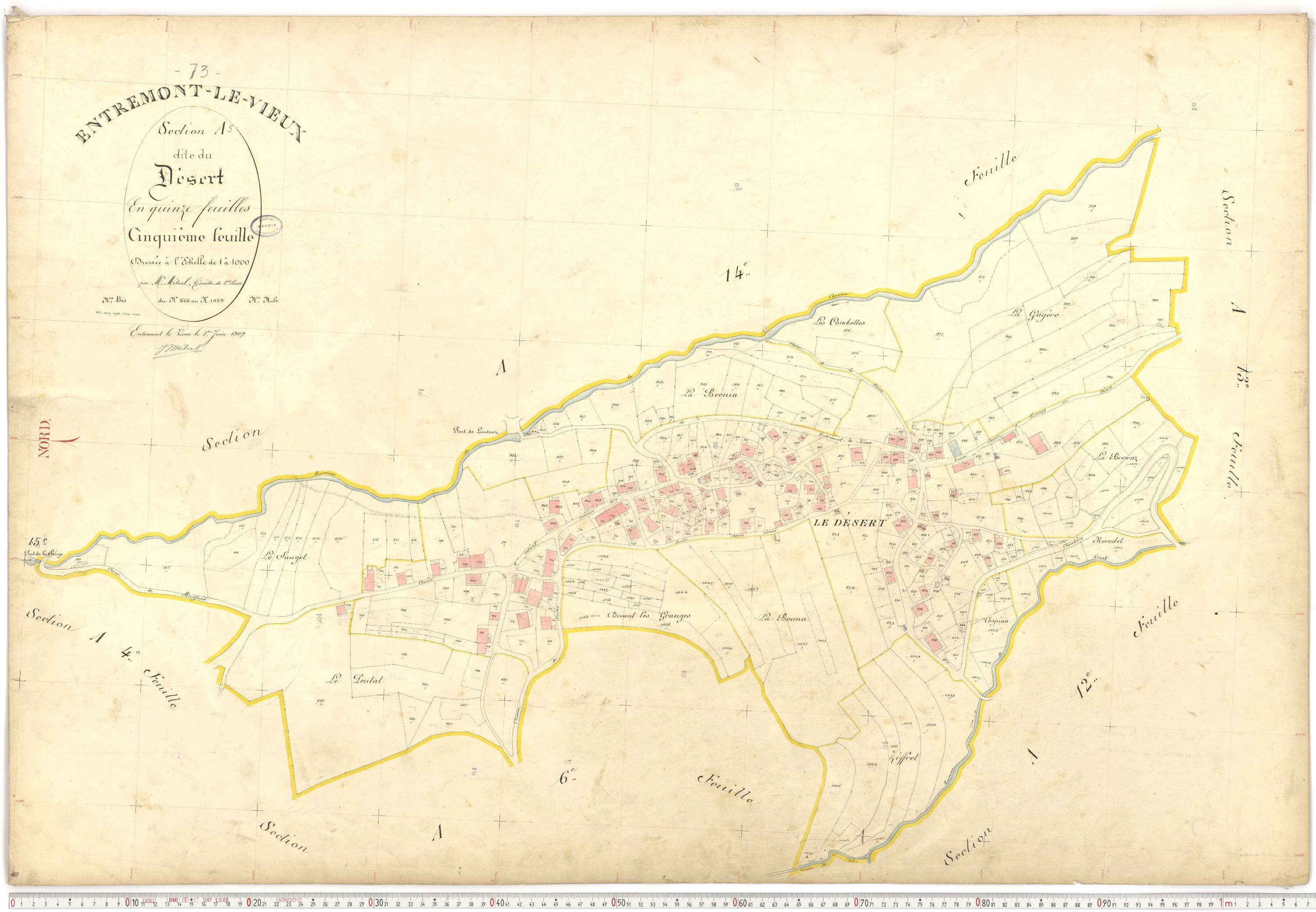 Entremont-le-Vieux - Cadastre français (1907).
