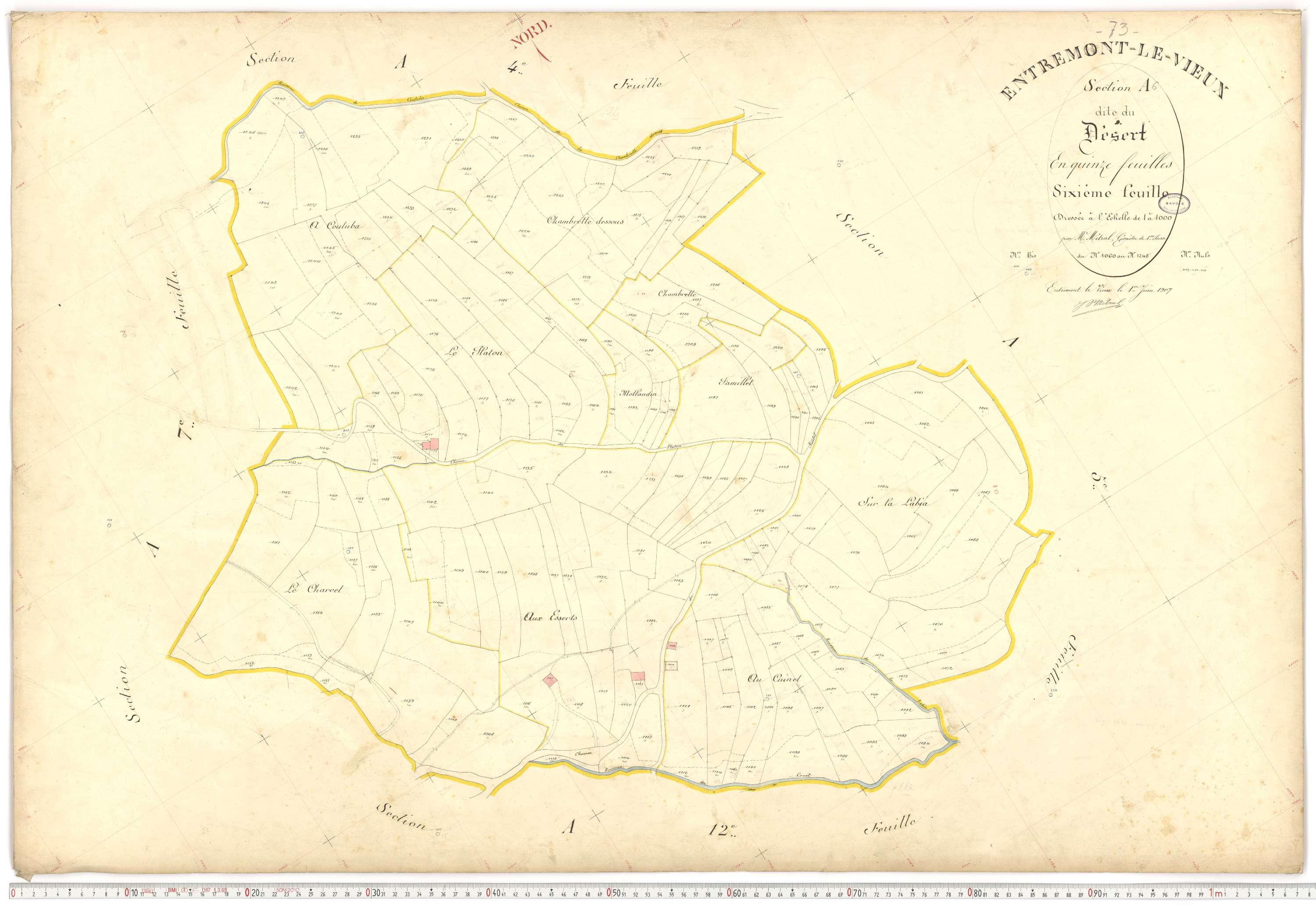 Entremont-le-Vieux - Cadastre français (1907).