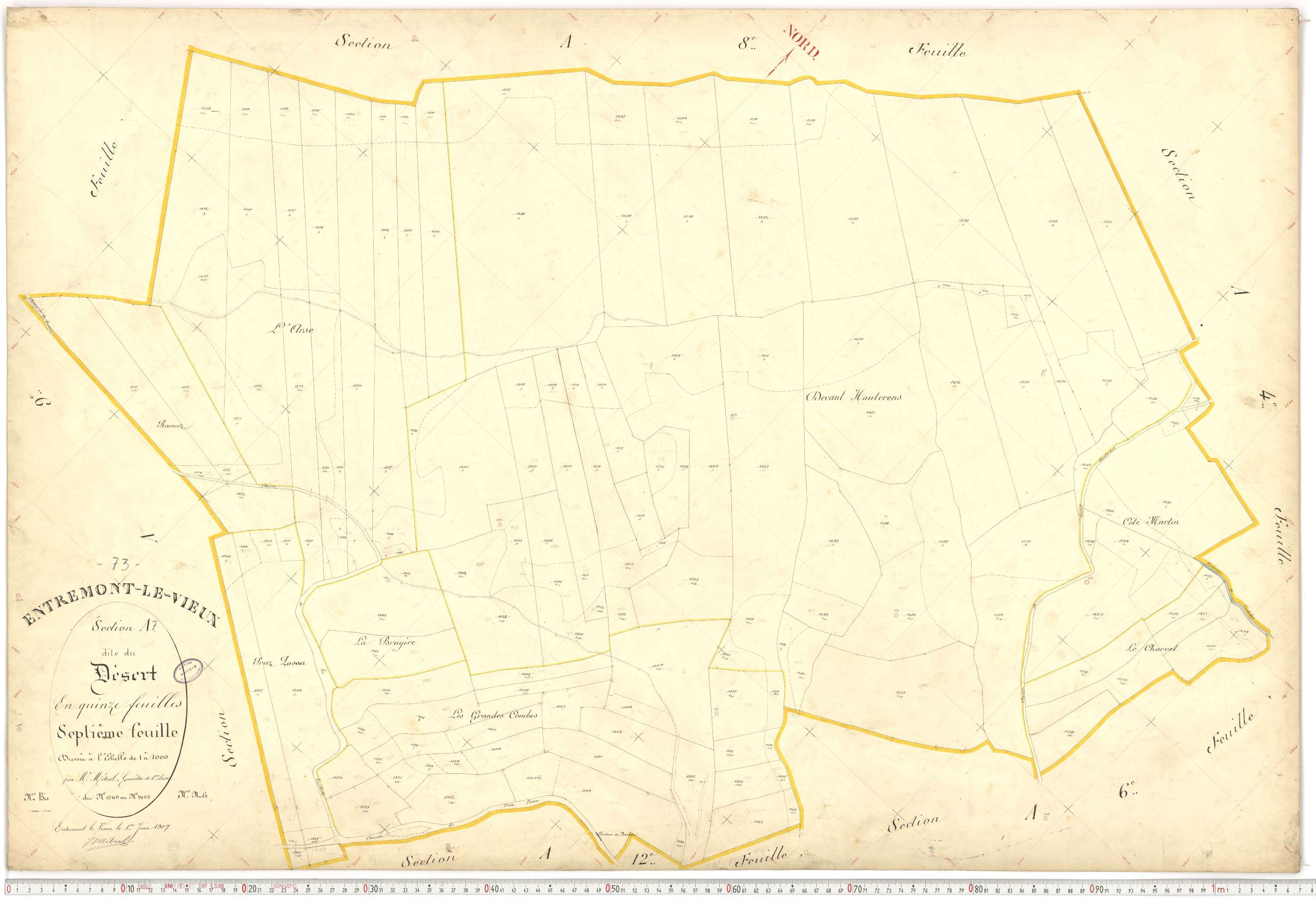 Entremont-le-Vieux - Cadastre français (1907).